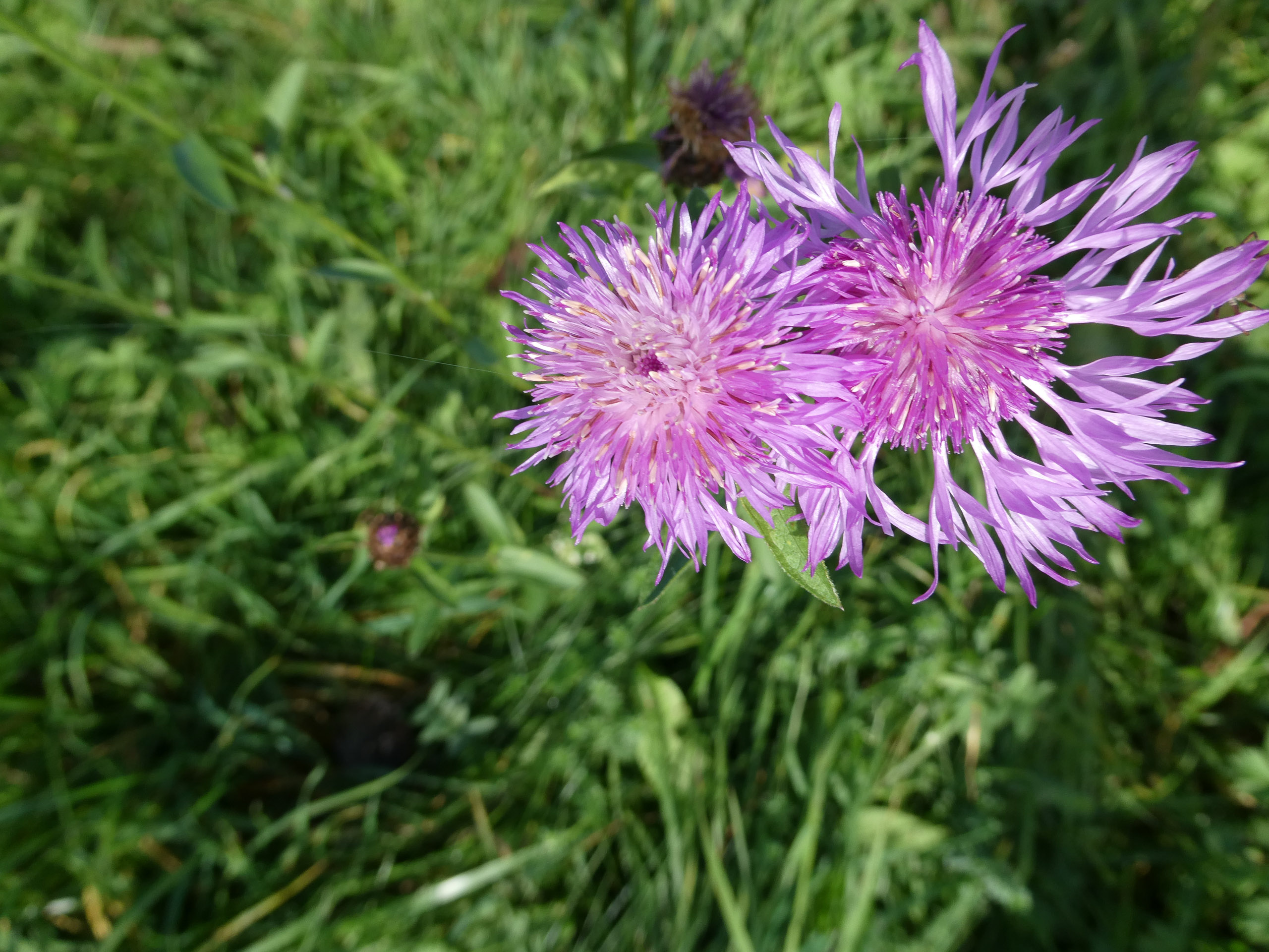 20221029134255 P1000093