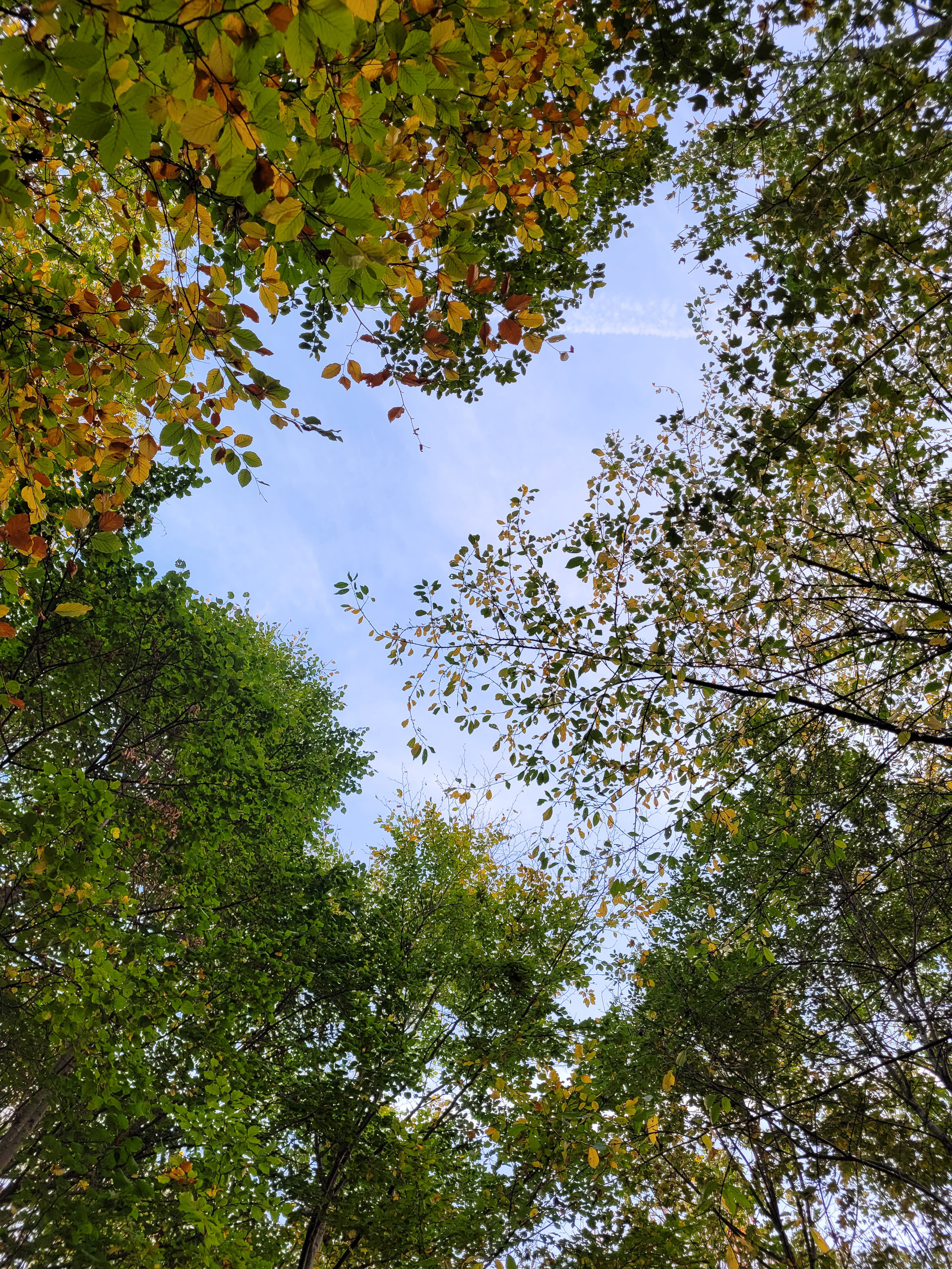 20221030073759 20221030 073758