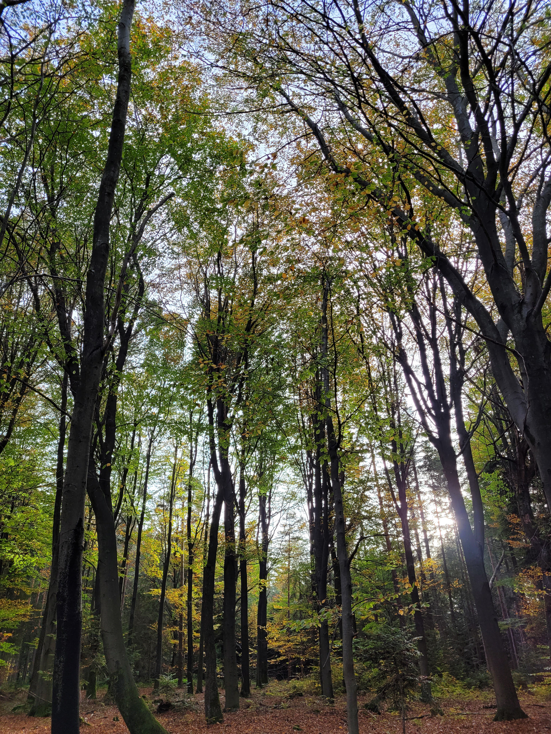 20221030151955 20221030 151954