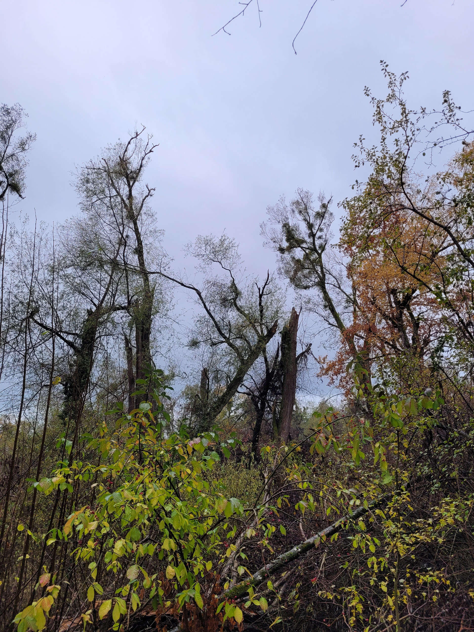 20231117104307 20231117 104307