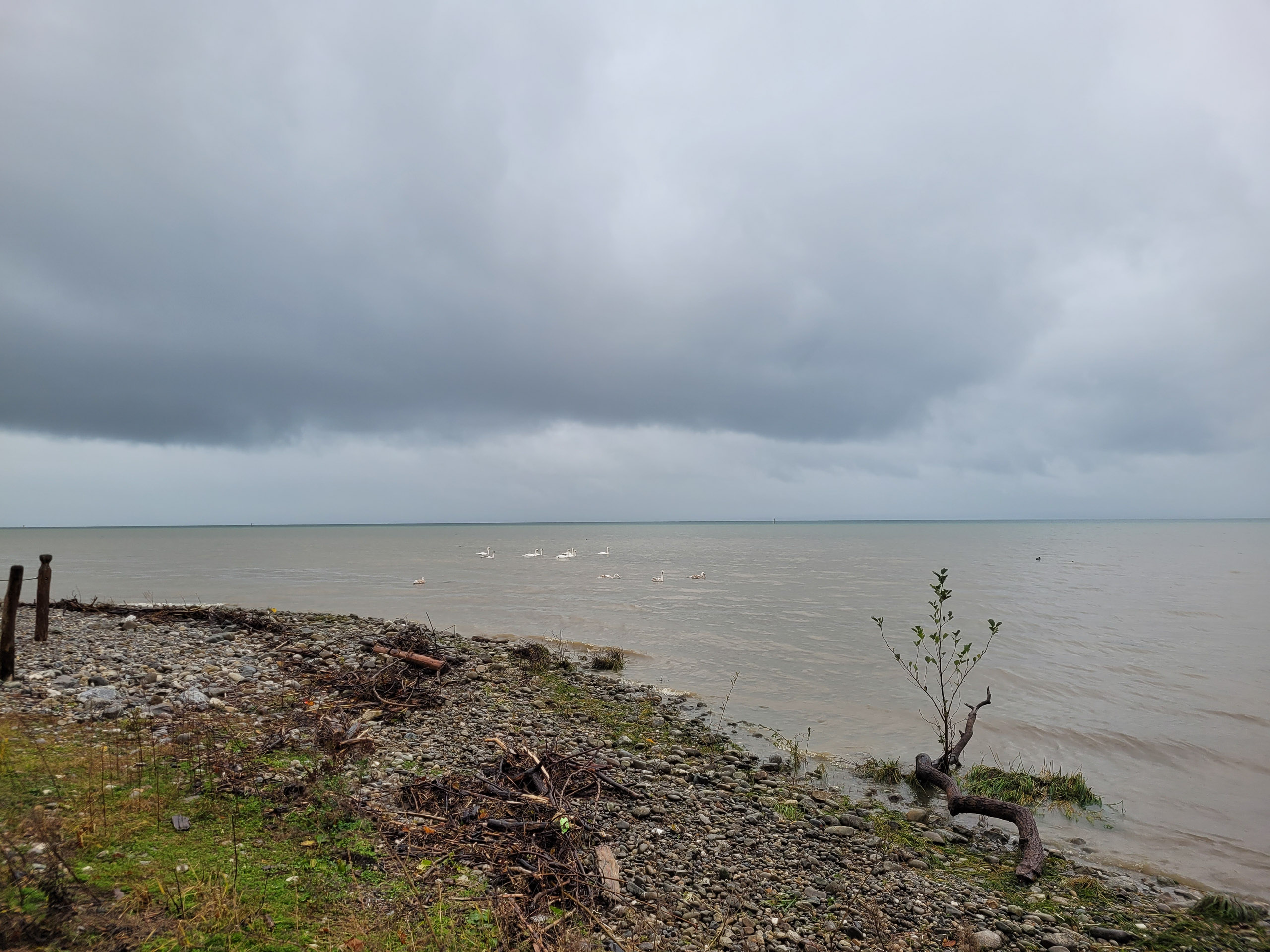 20231117110053 20231117 110053