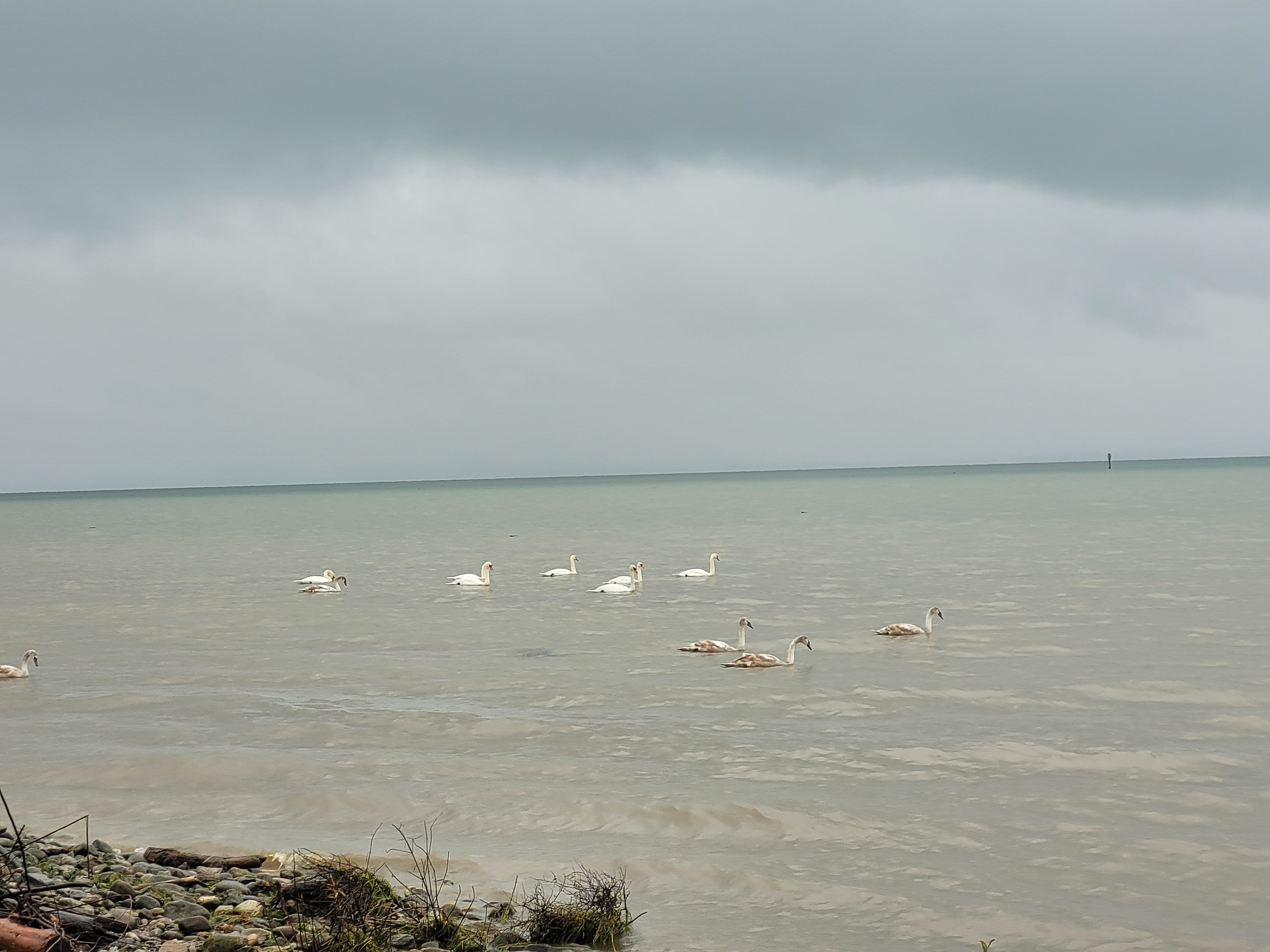 20231117110101 20231117 110100