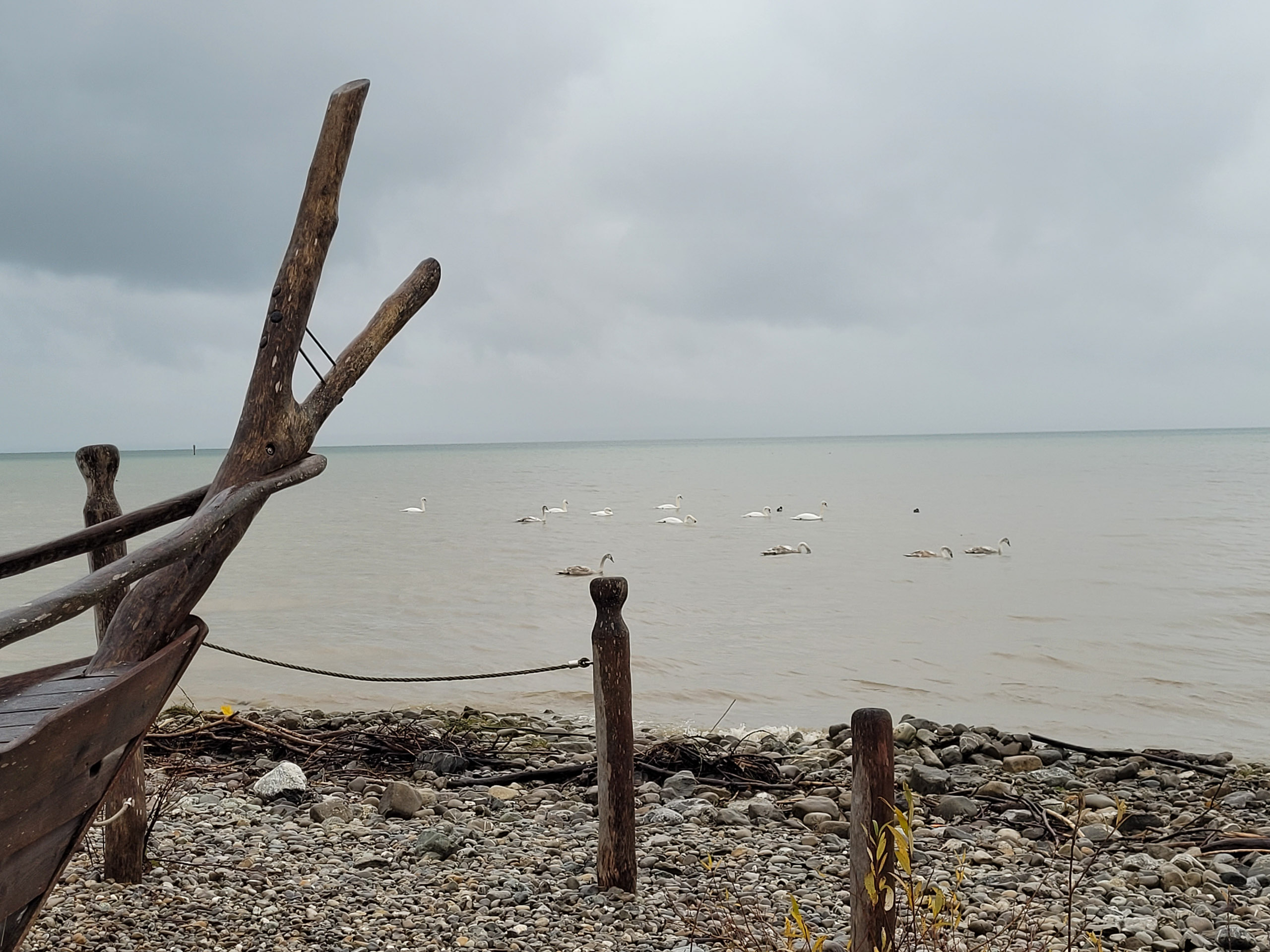 20231117110145 20231117 110144