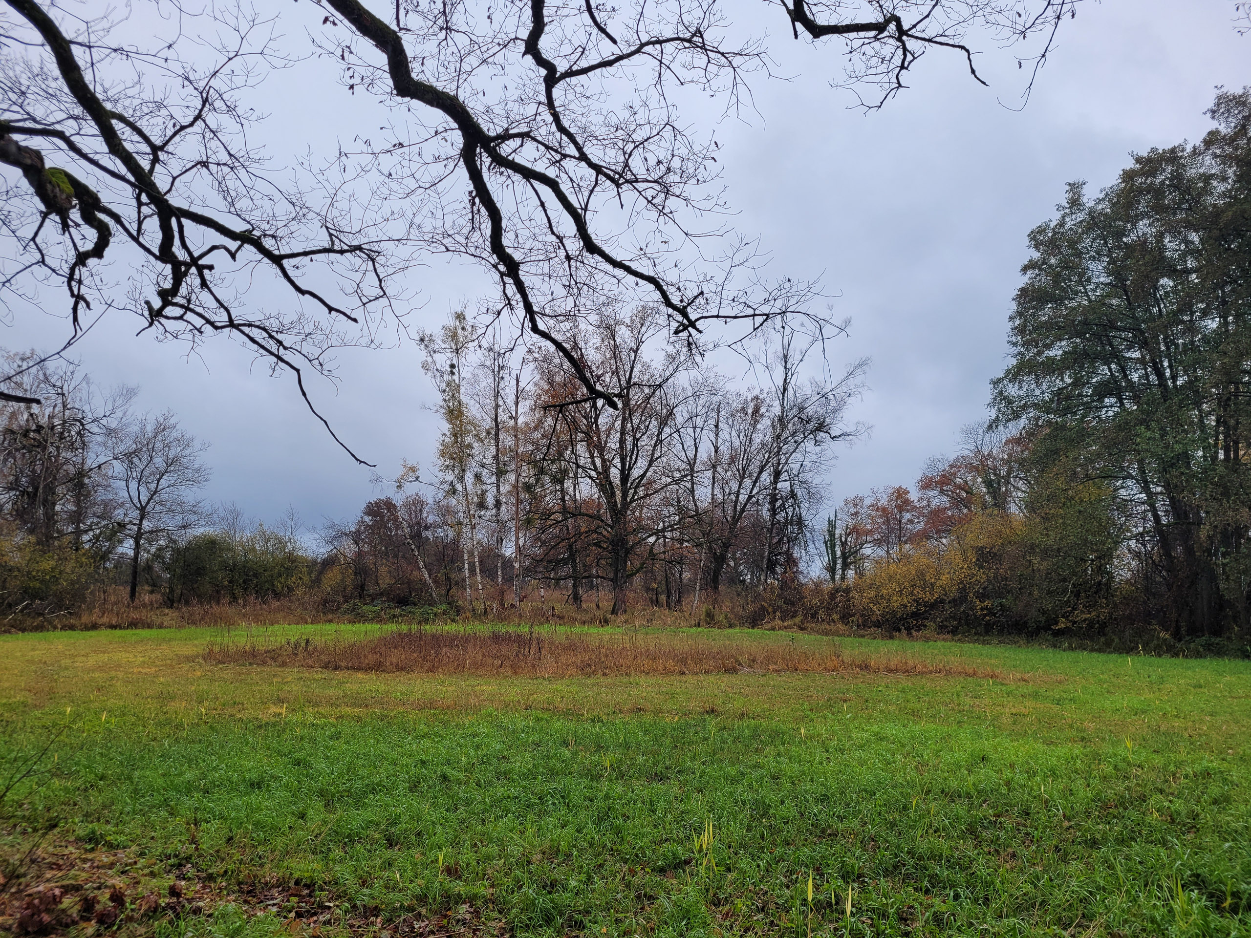 20231117112218 20231117 112218