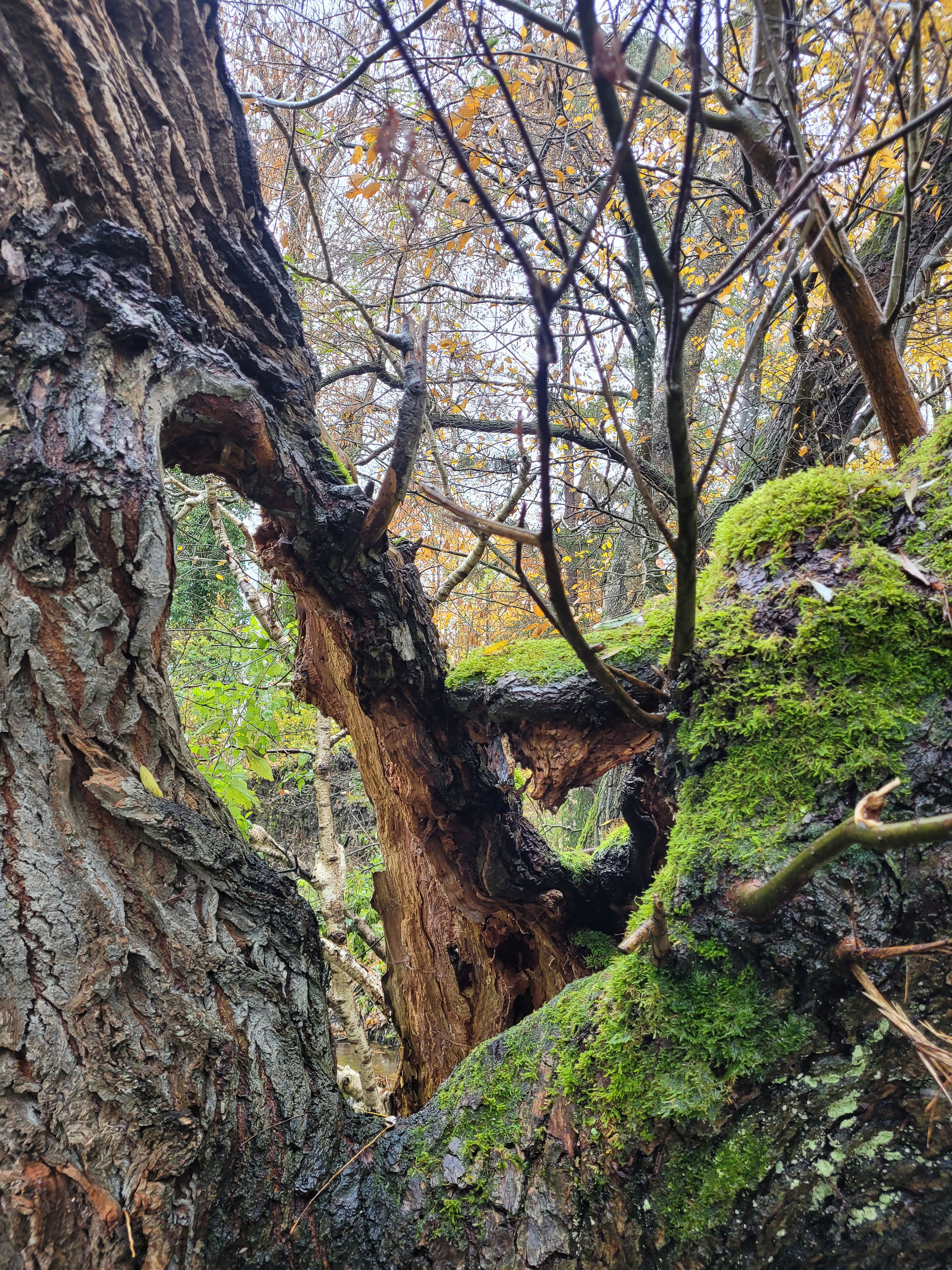 20231117112721 20231117 112721