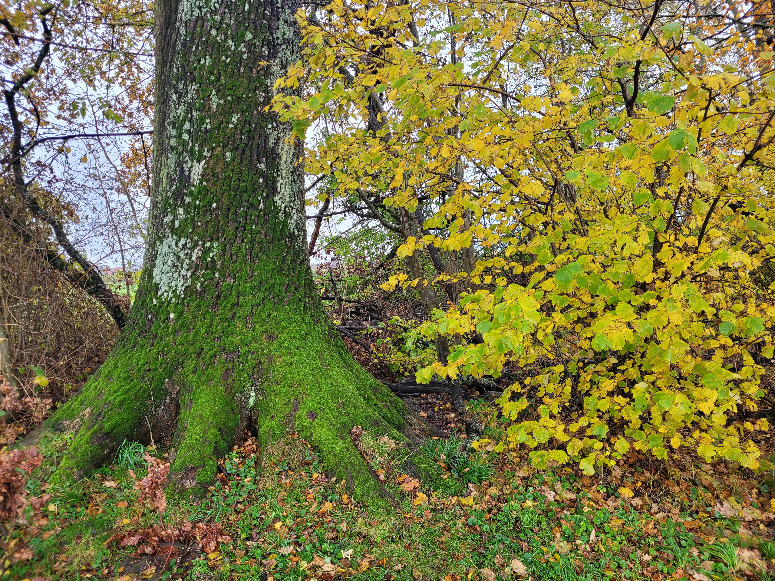 20231117114722 20231117 114722