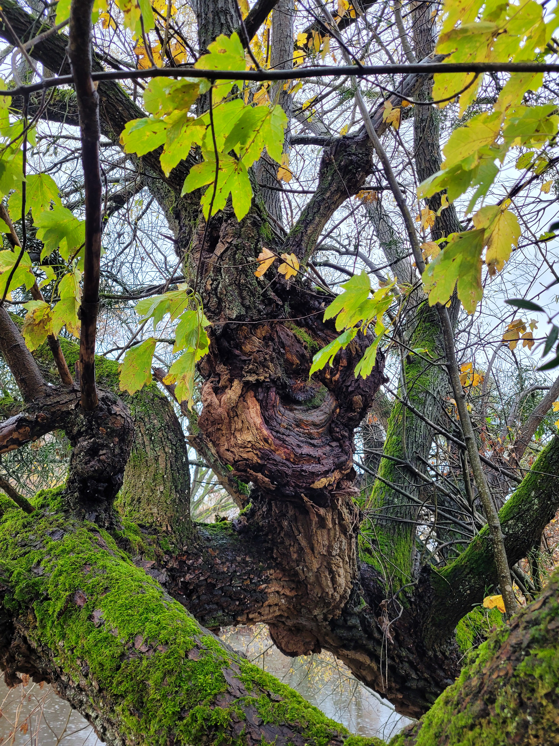 20231117120413 20231117 120413