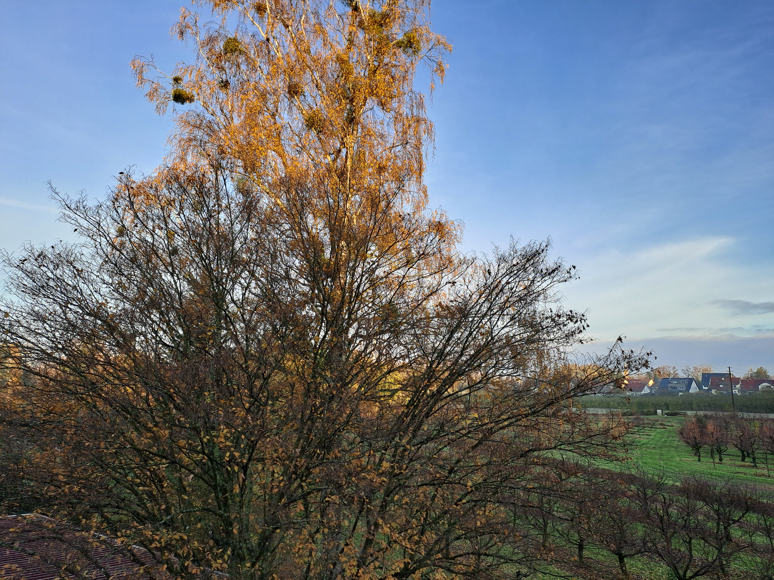 20231118080838 20231118 080838