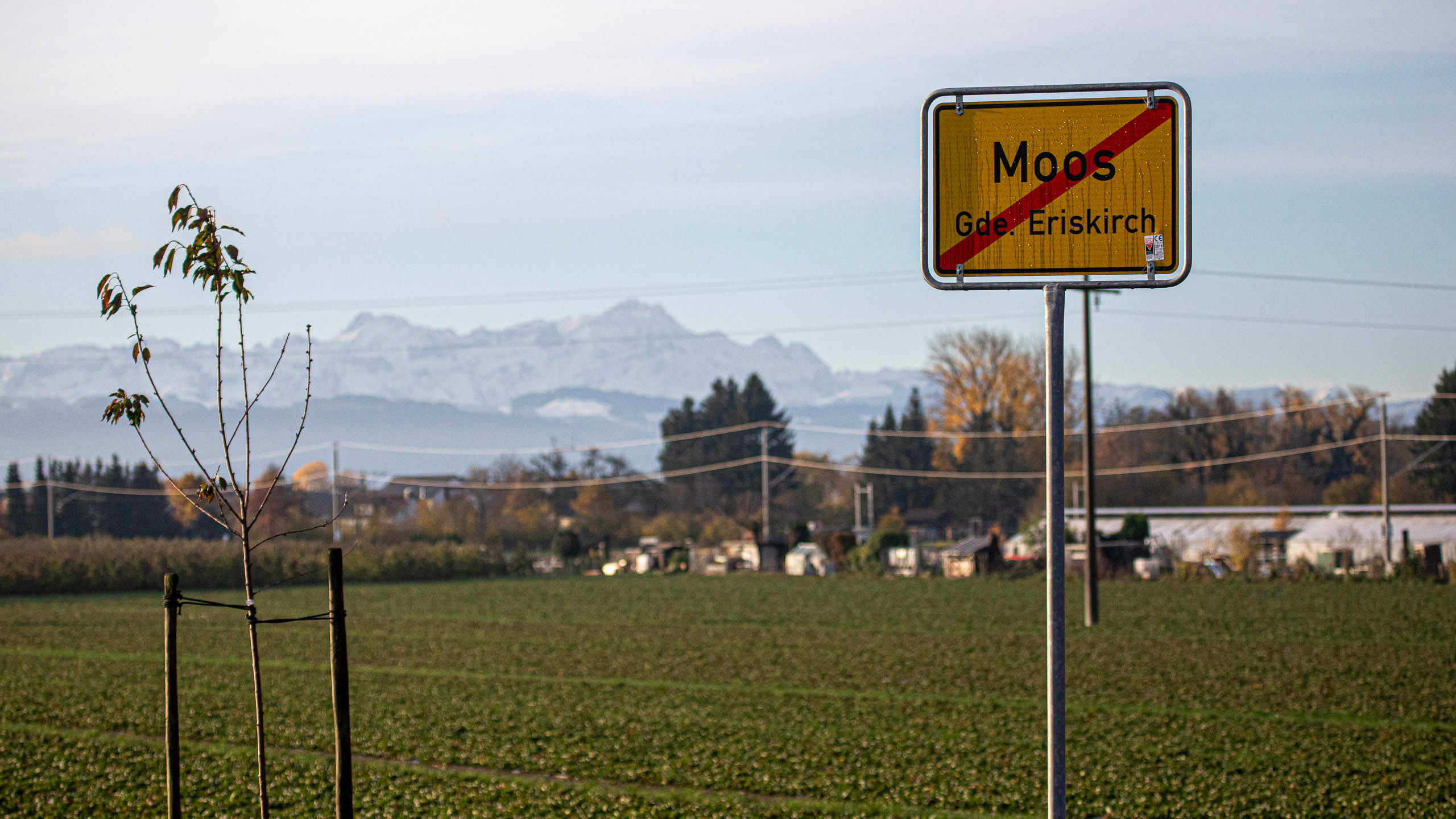 20231118083918 RD4 4773