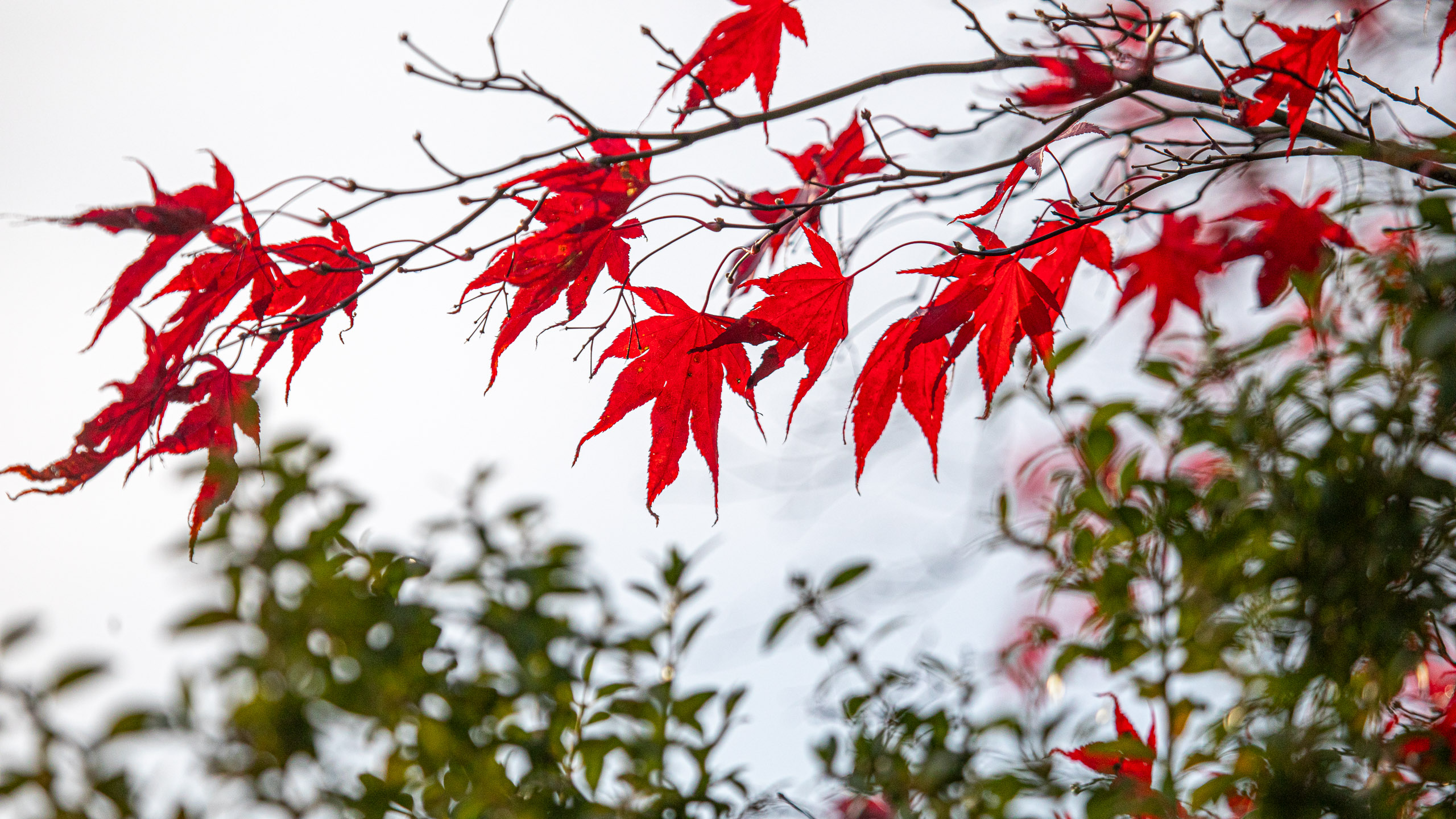 20231118084423 RD4 4783