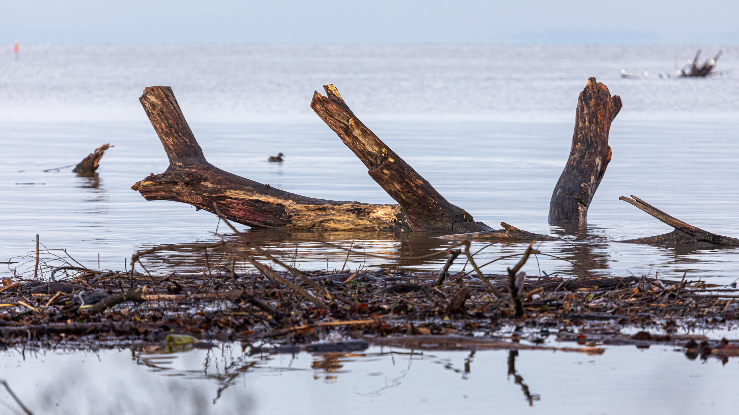 20231118085217 RD4 4802