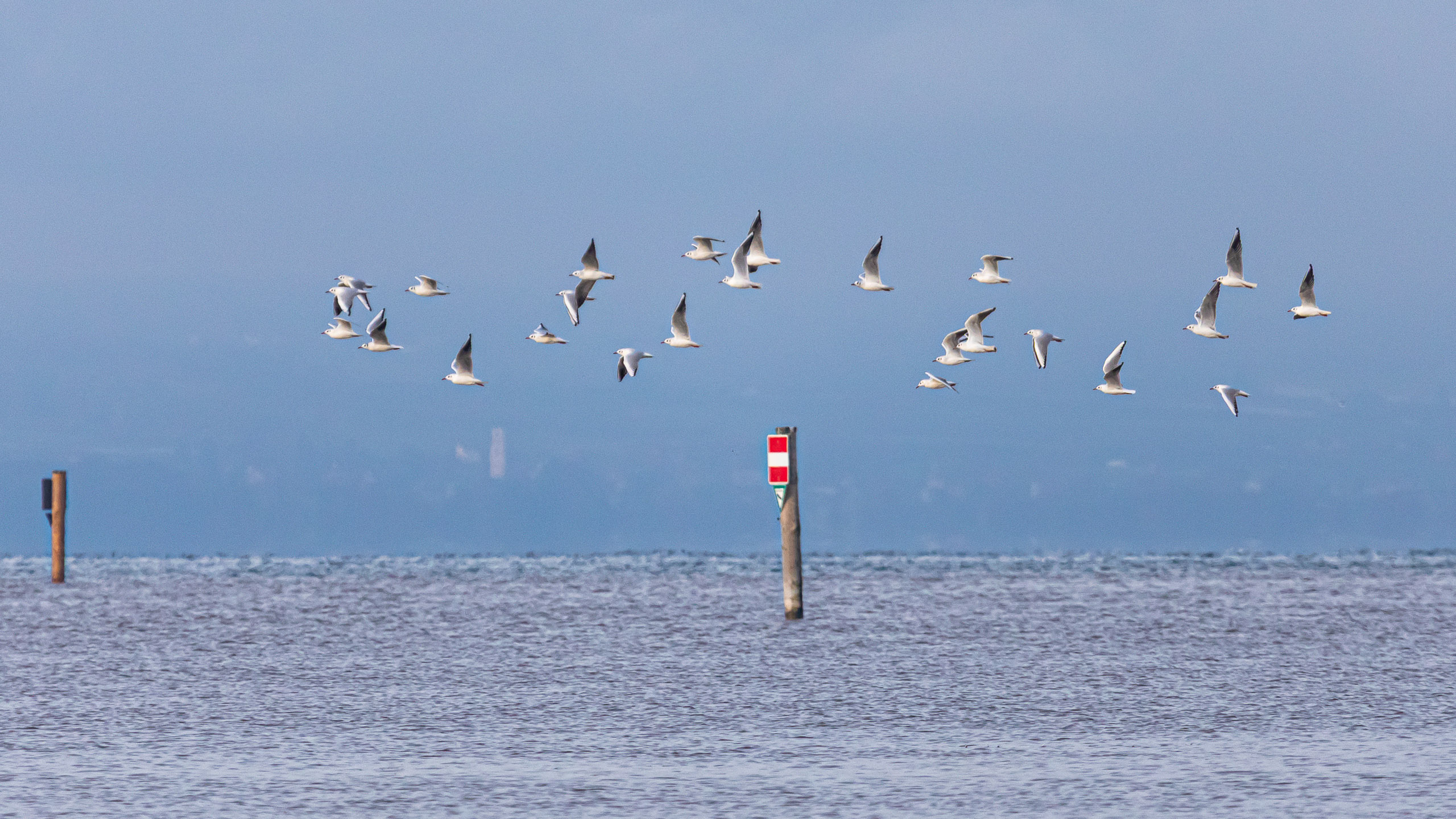 20231118090318 RD4 4837 2