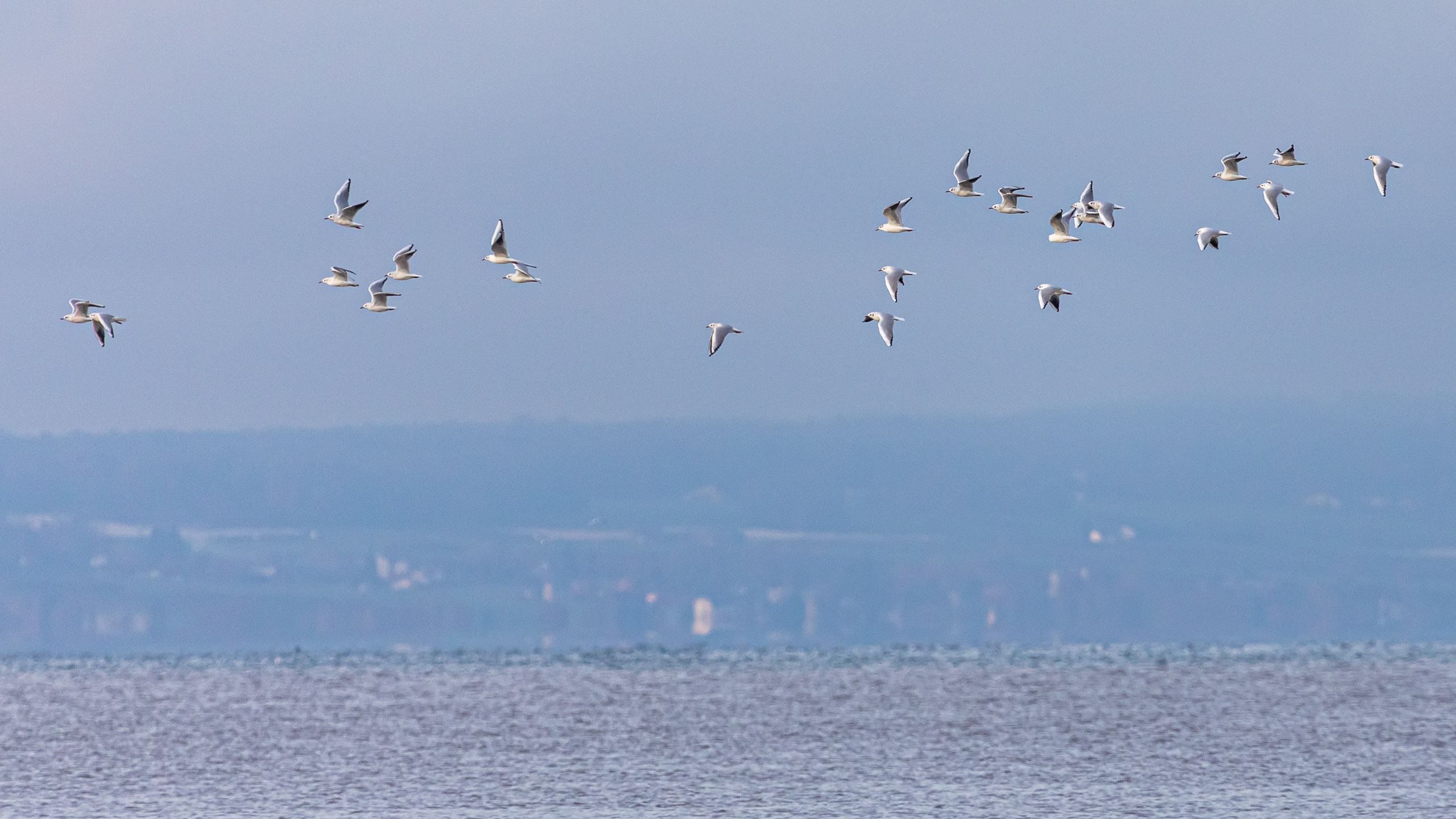 20231118090320 RD4 4840 2