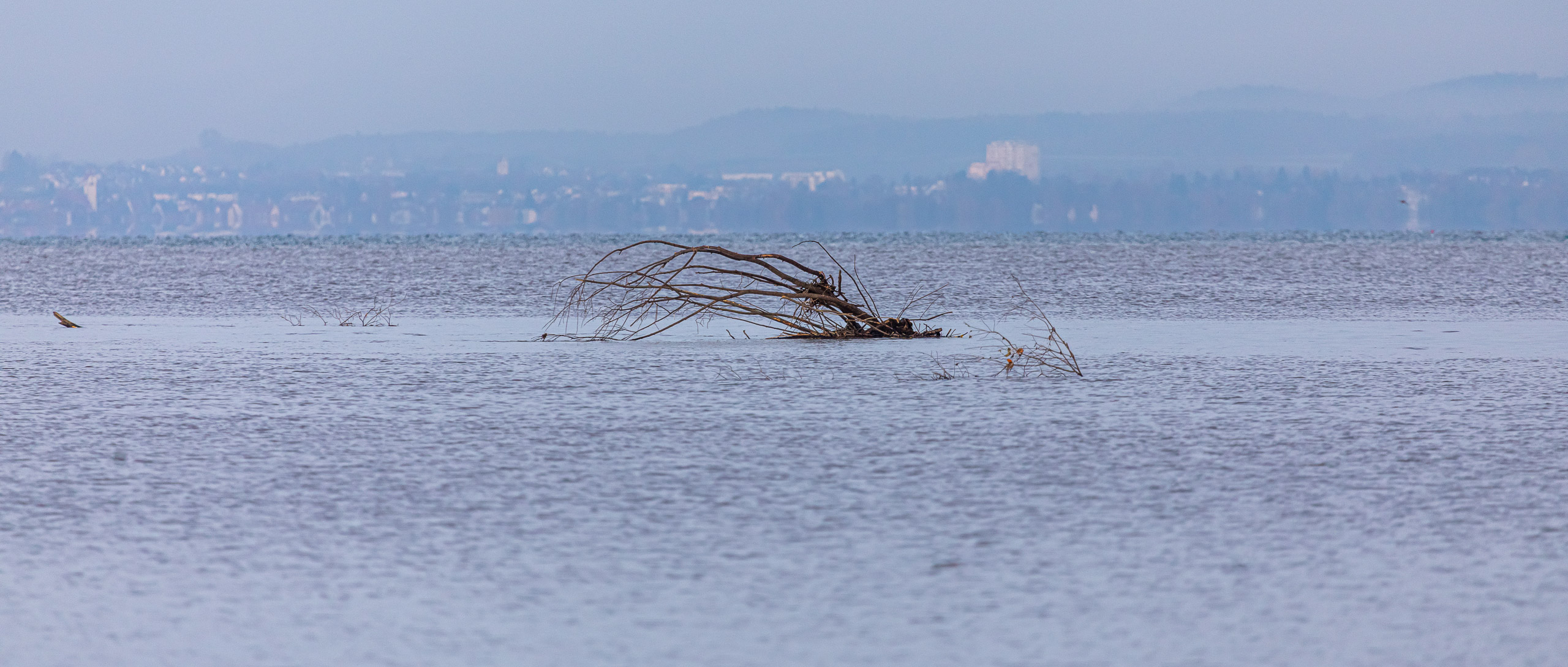 20231118090706 RD4 4853