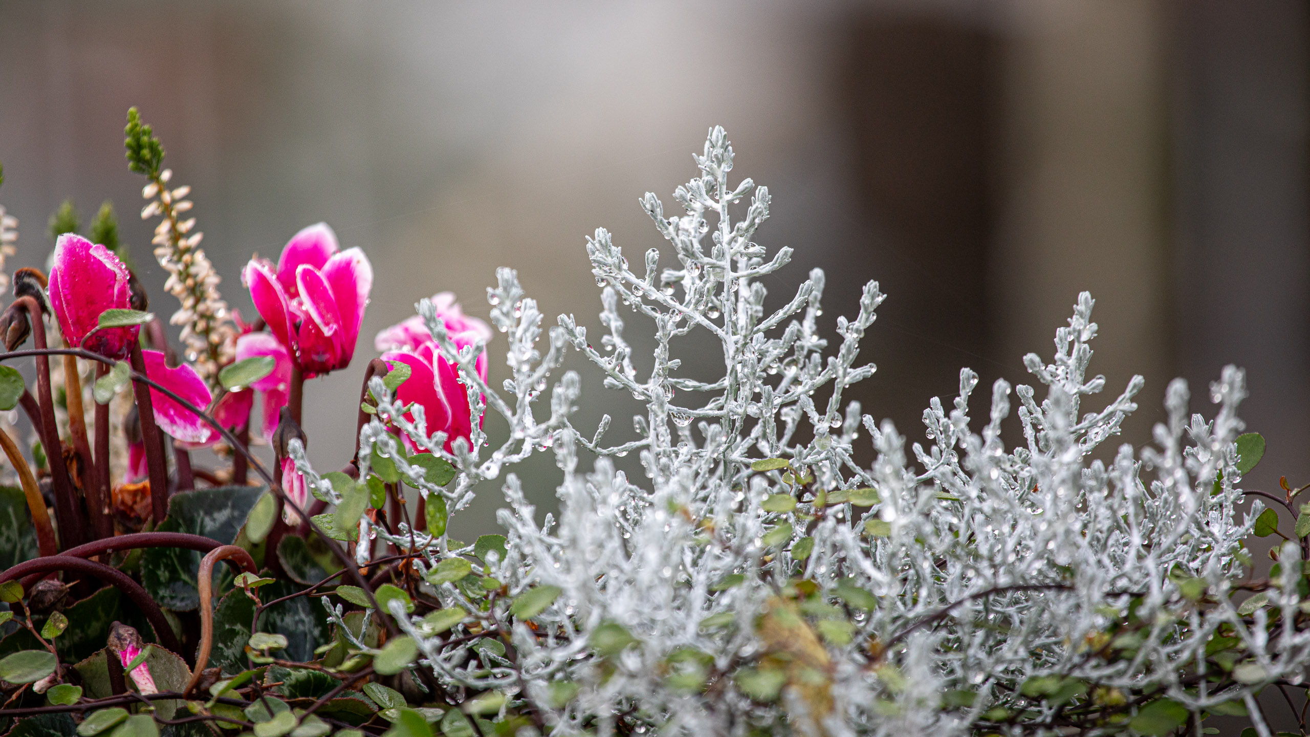 20231118091638 RD4 4866