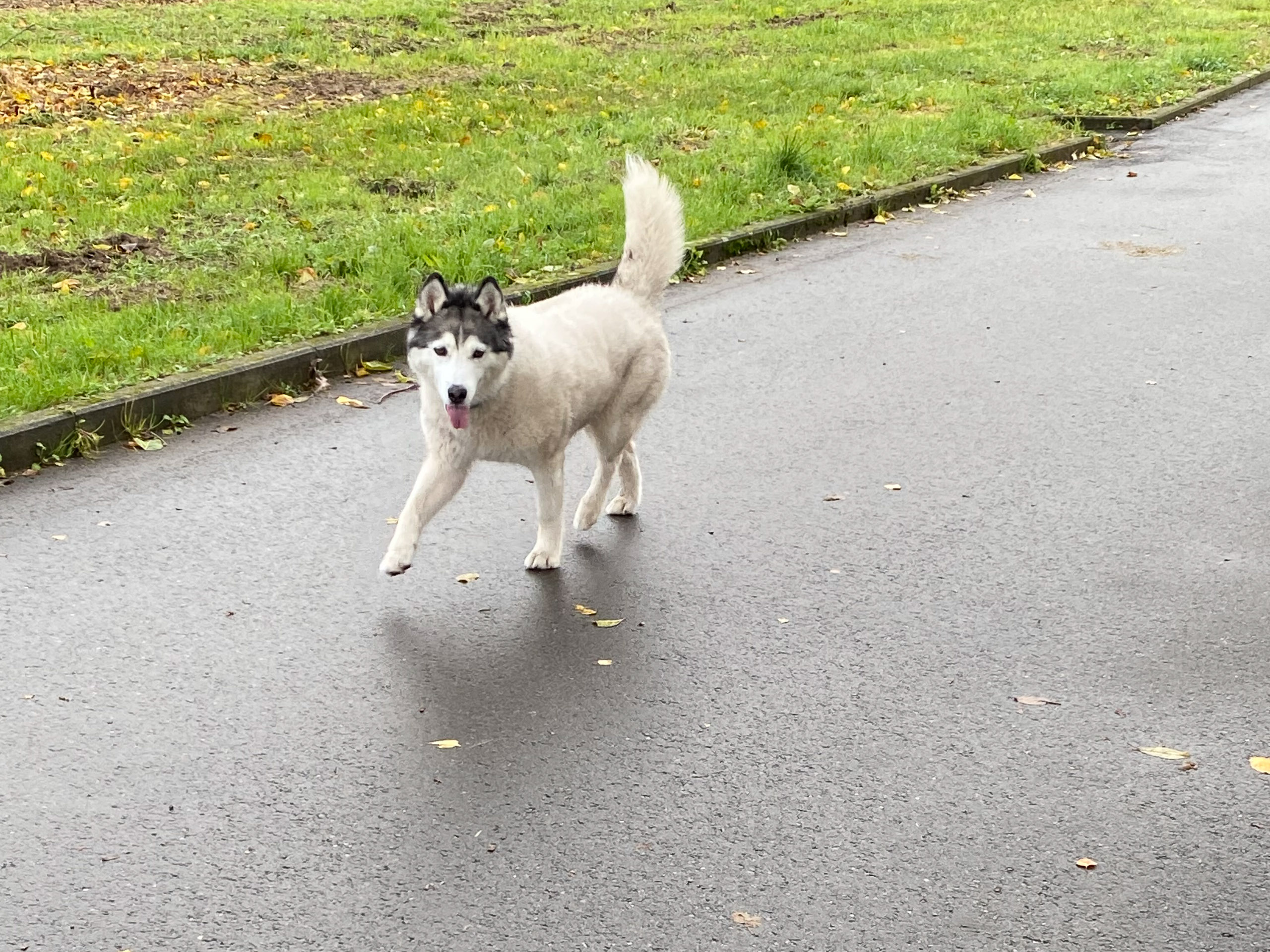 20231118092114 IMG 8952