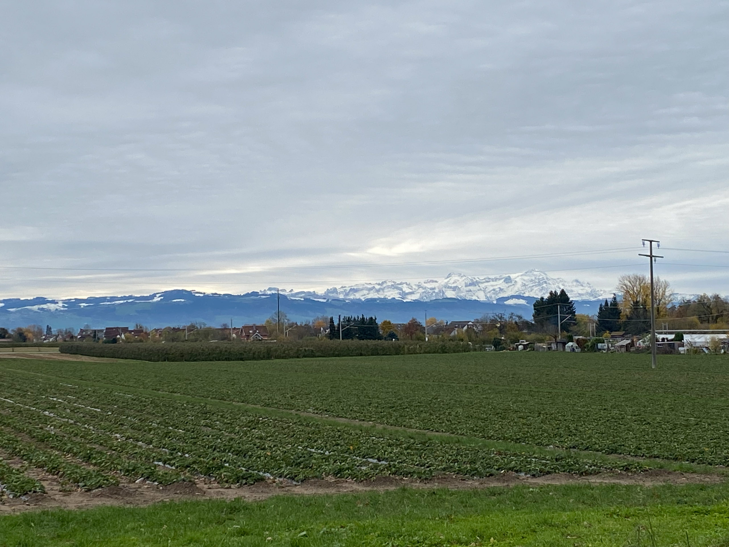 20231118123938 IMG 8953