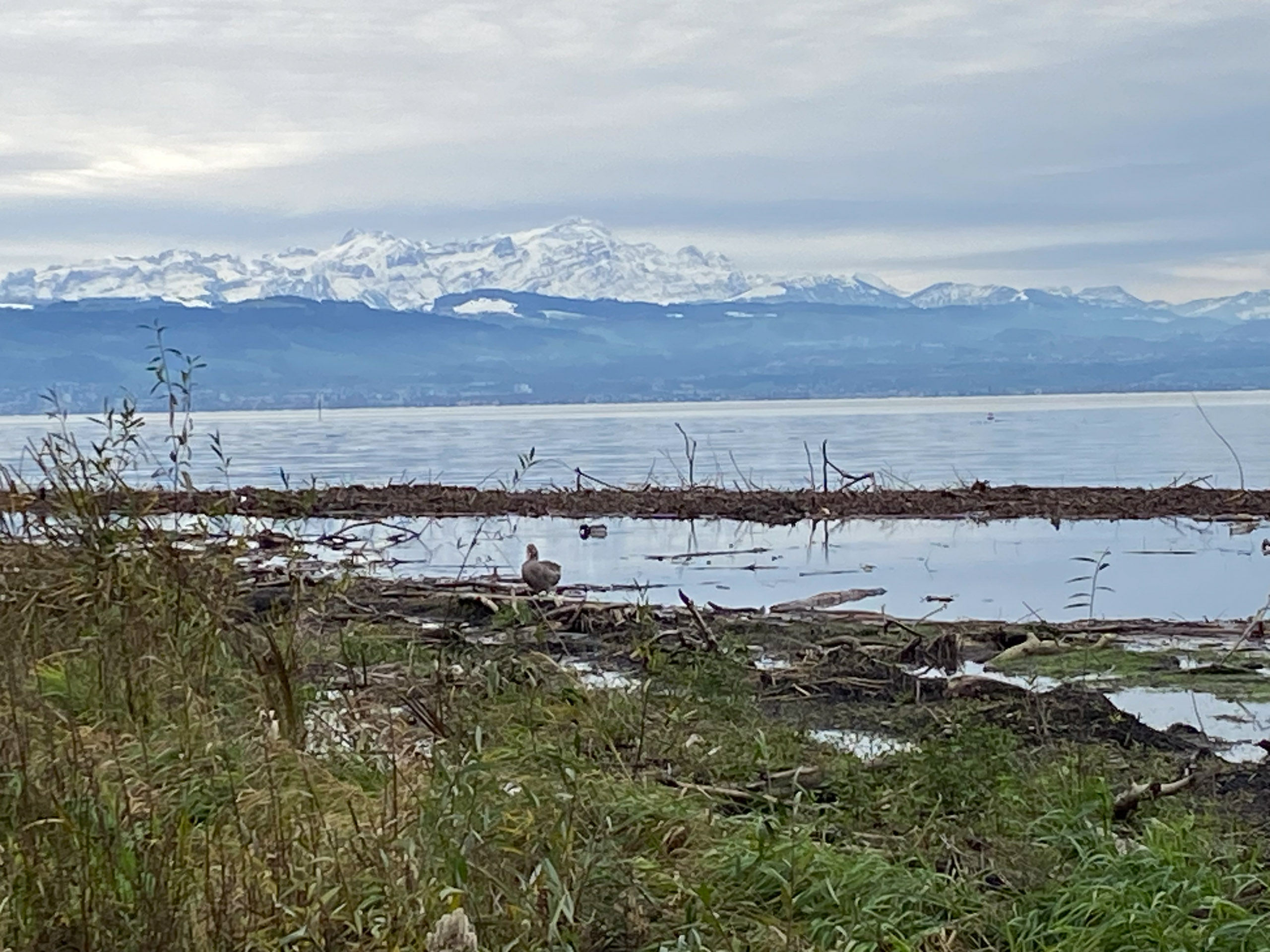 20231118125249 IMG 8955