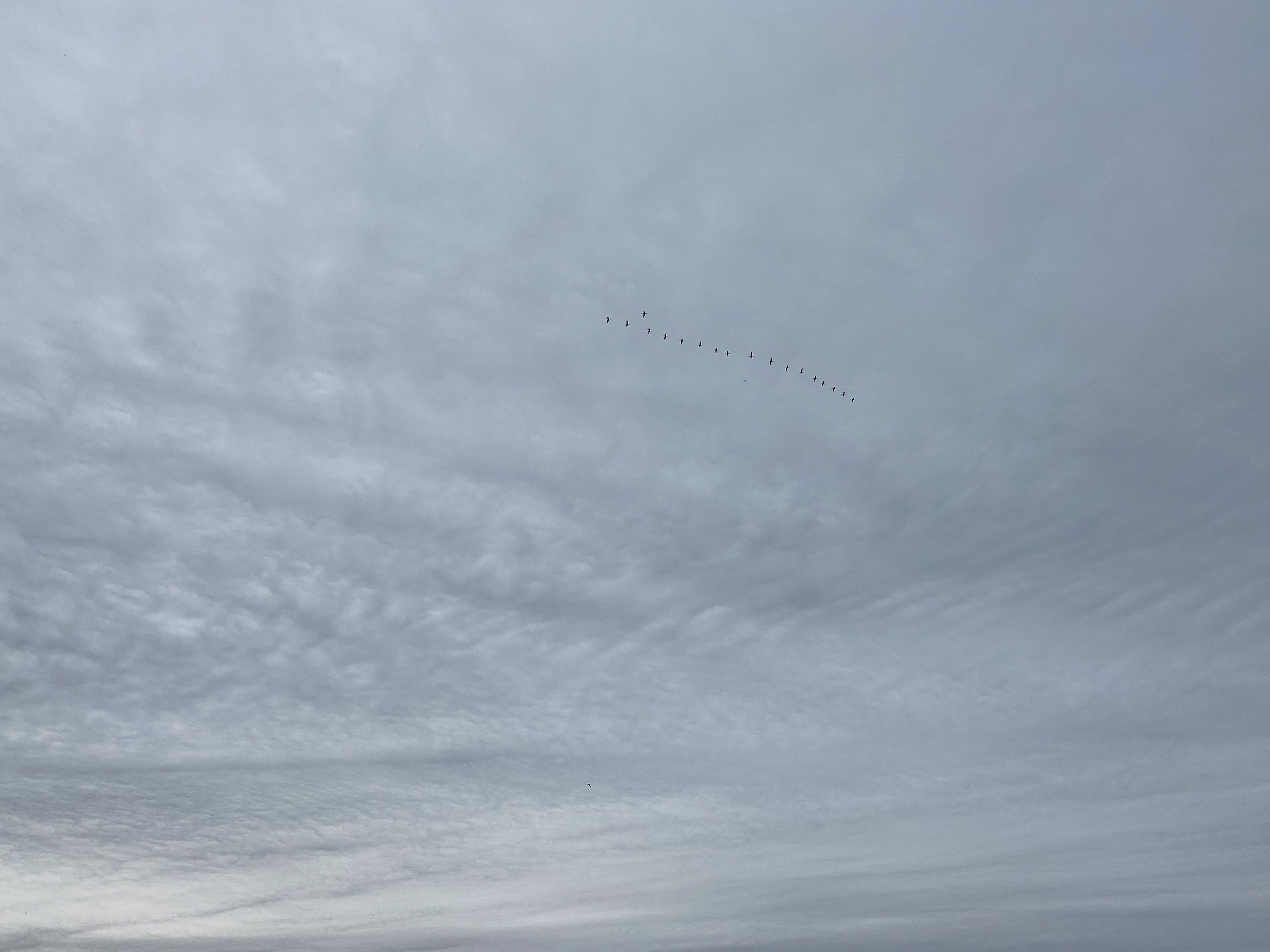 20231118125447 IMG 8958