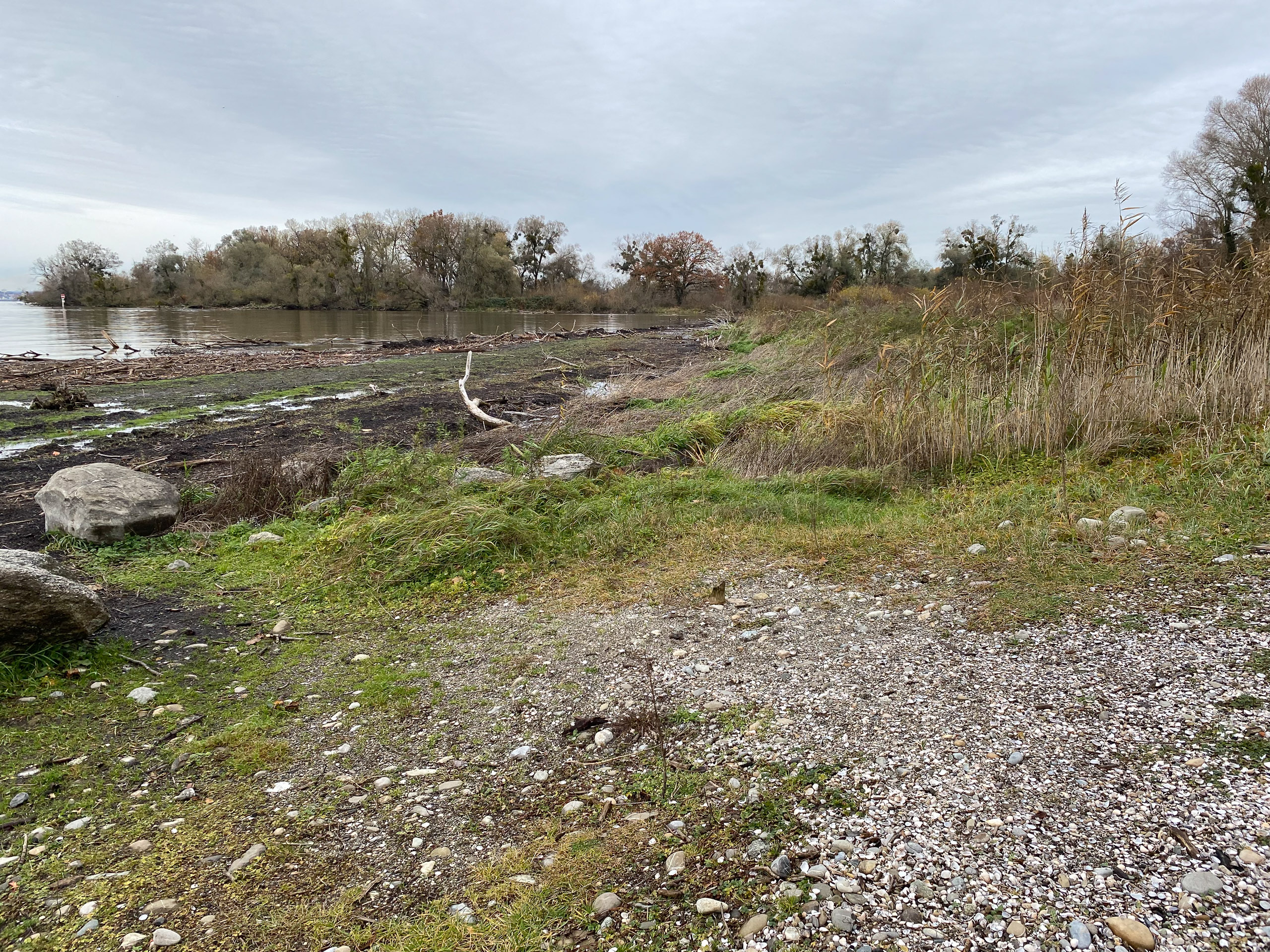 20231118125505 IMG 8960