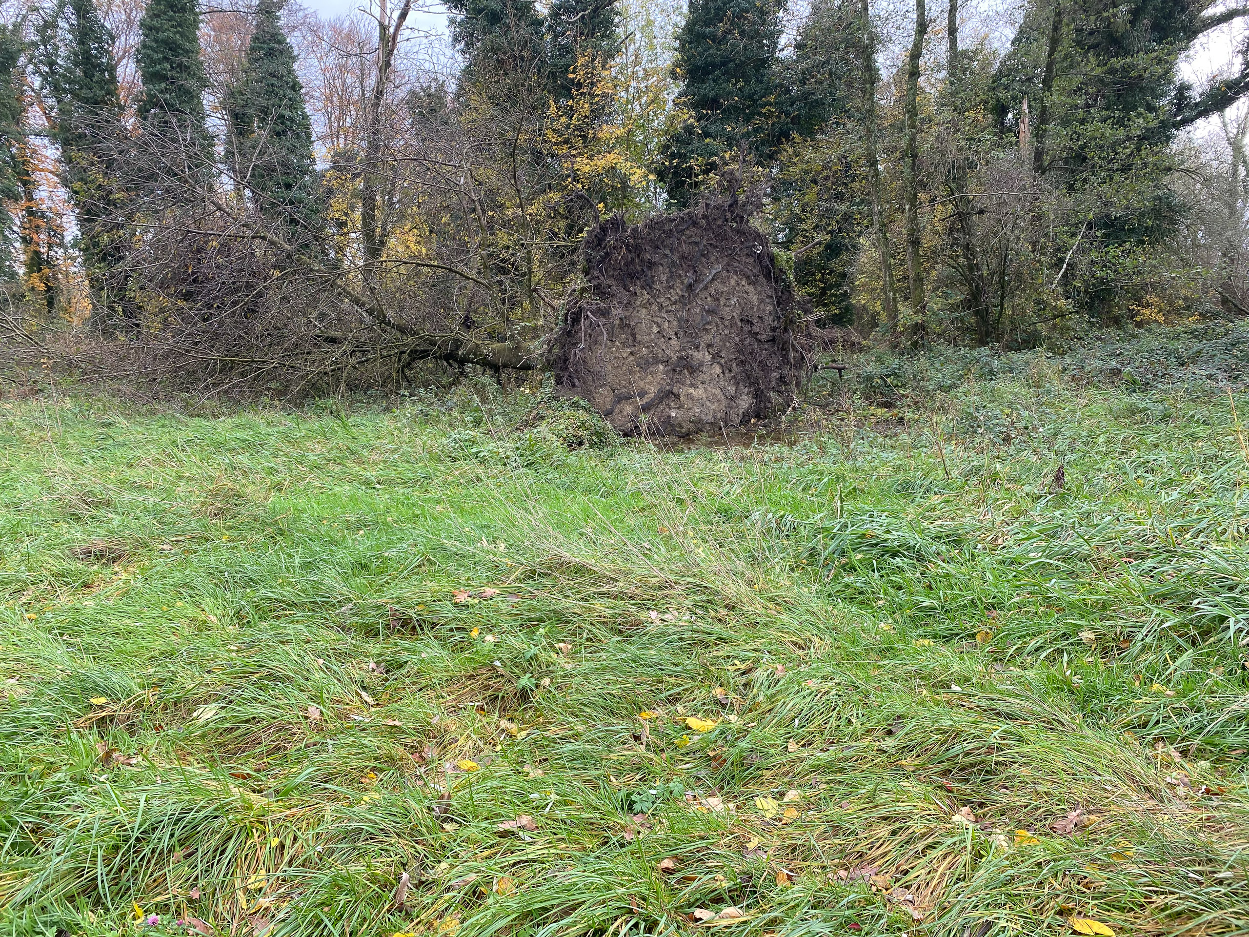 20231118130409 IMG 8962