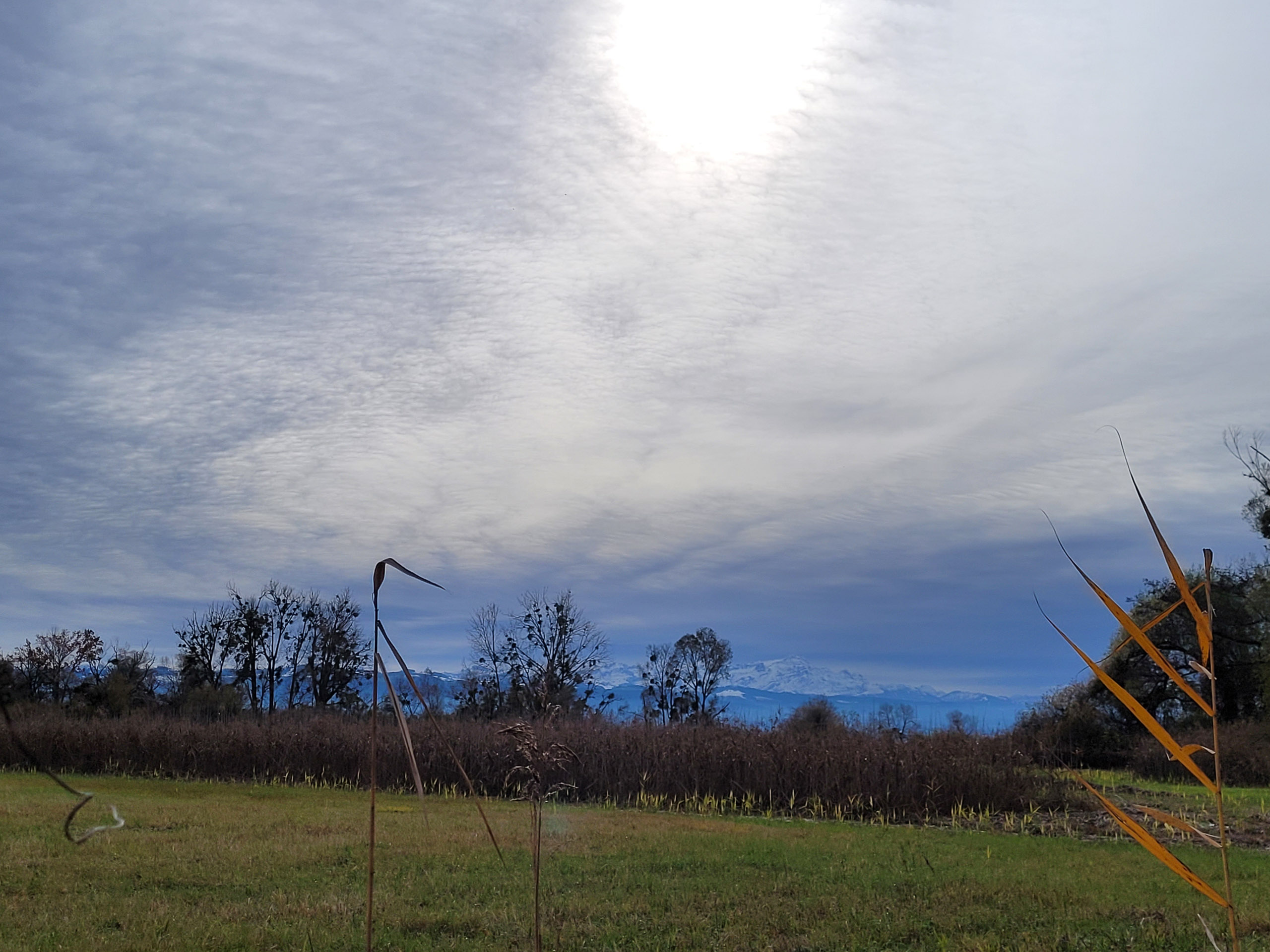 20231118130502 20231118 130502