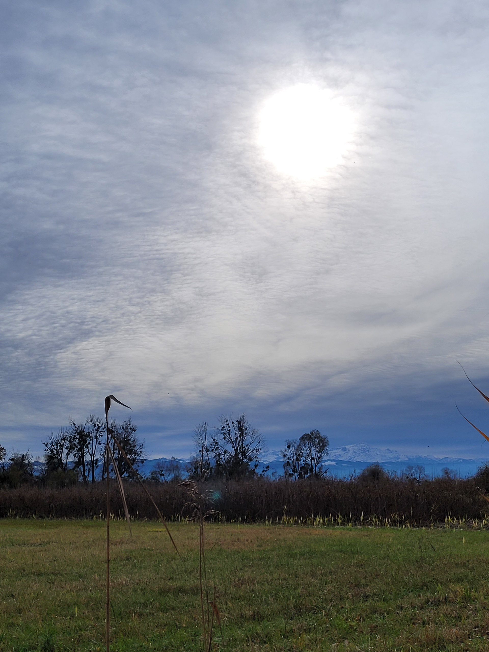 20231118130508 20231118 130508