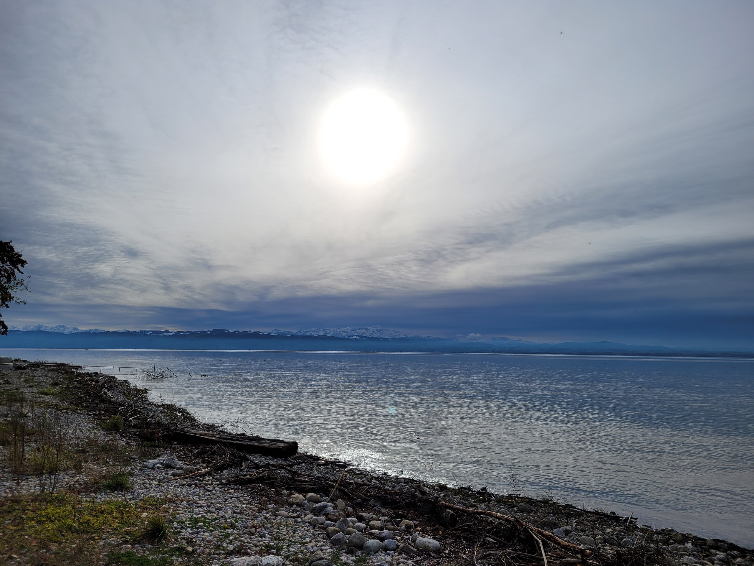 20231118131004 20231118 131004