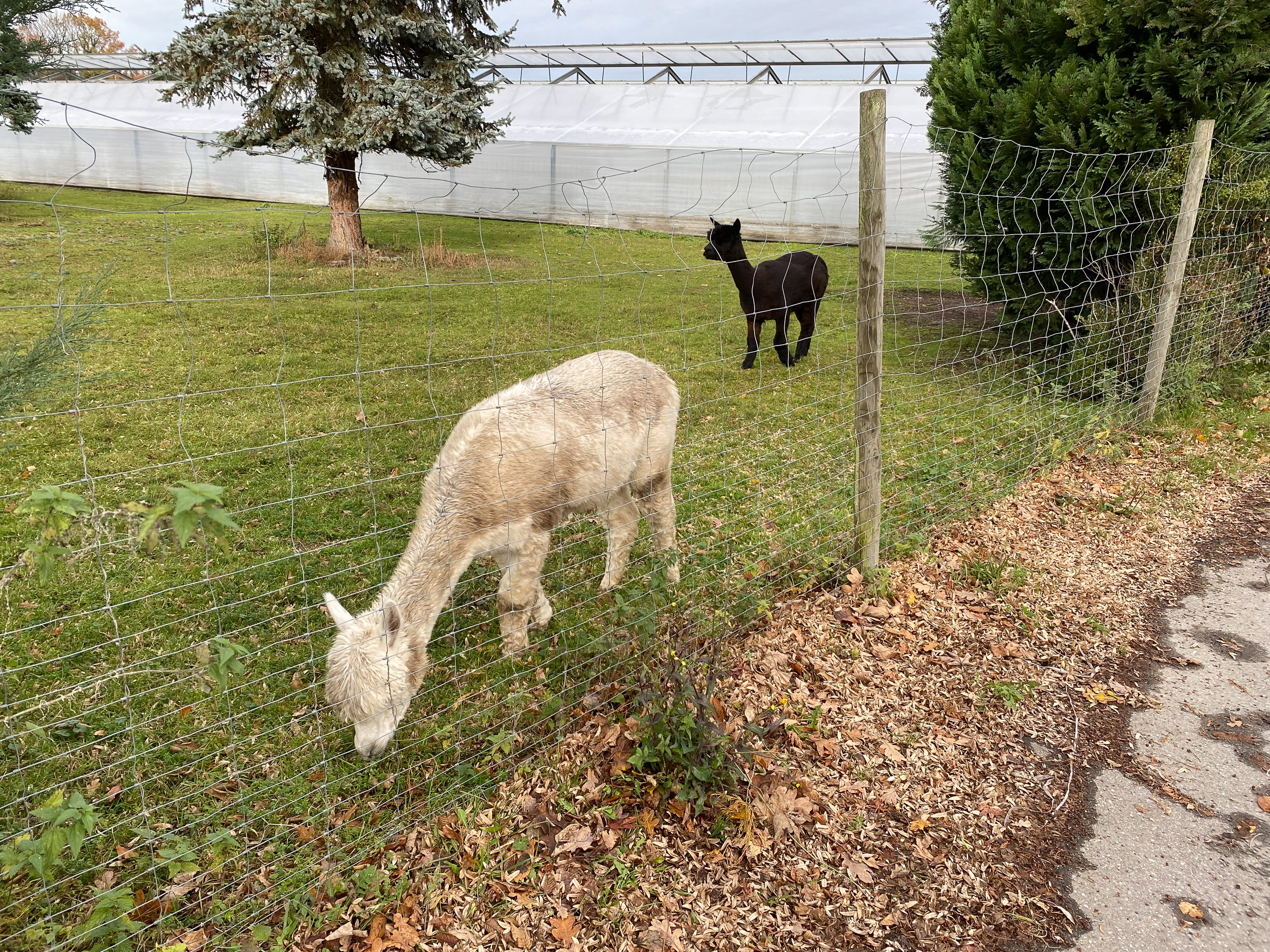 20231118131020 IMG 8968