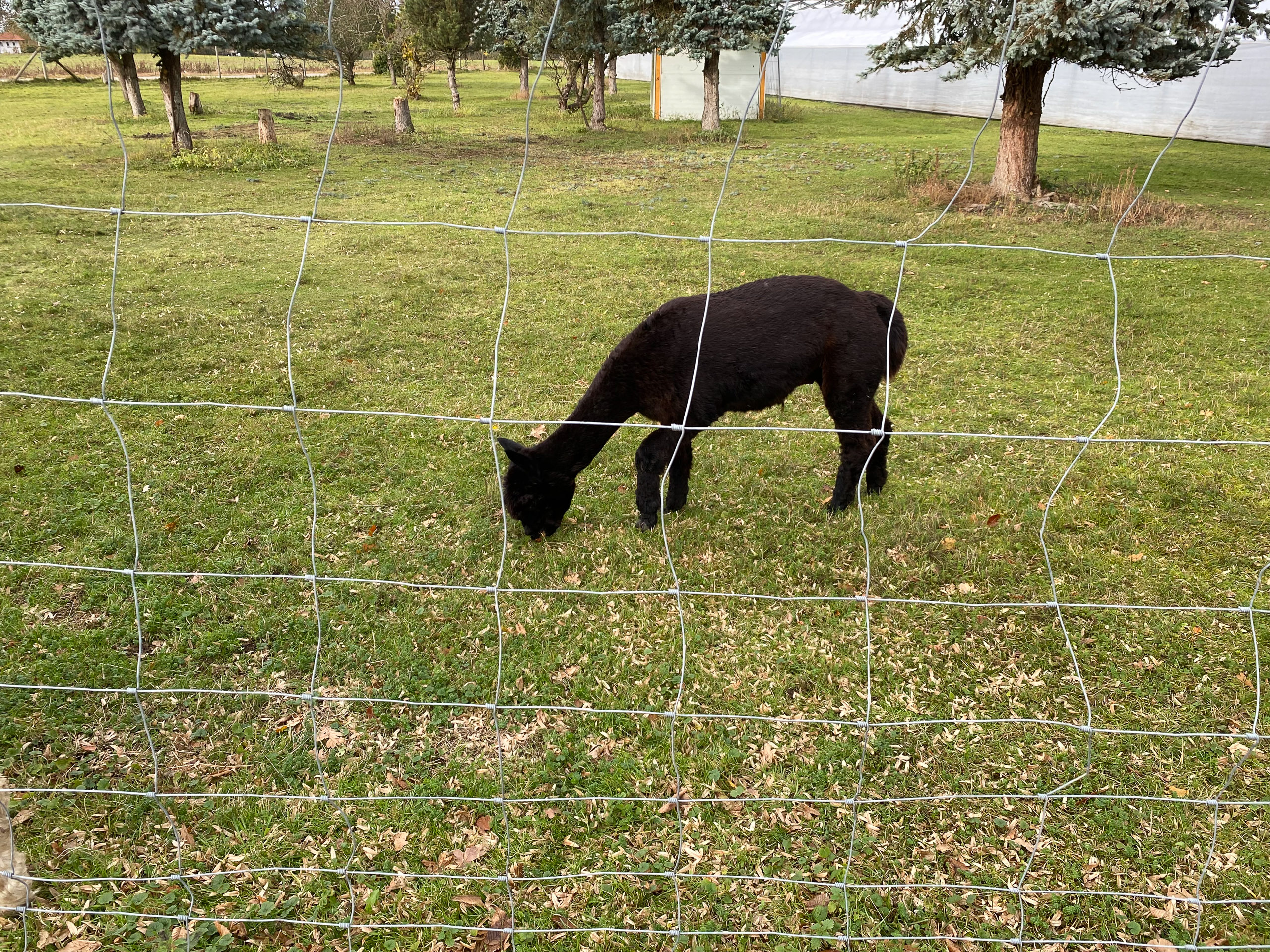 20231118131031 IMG 8969