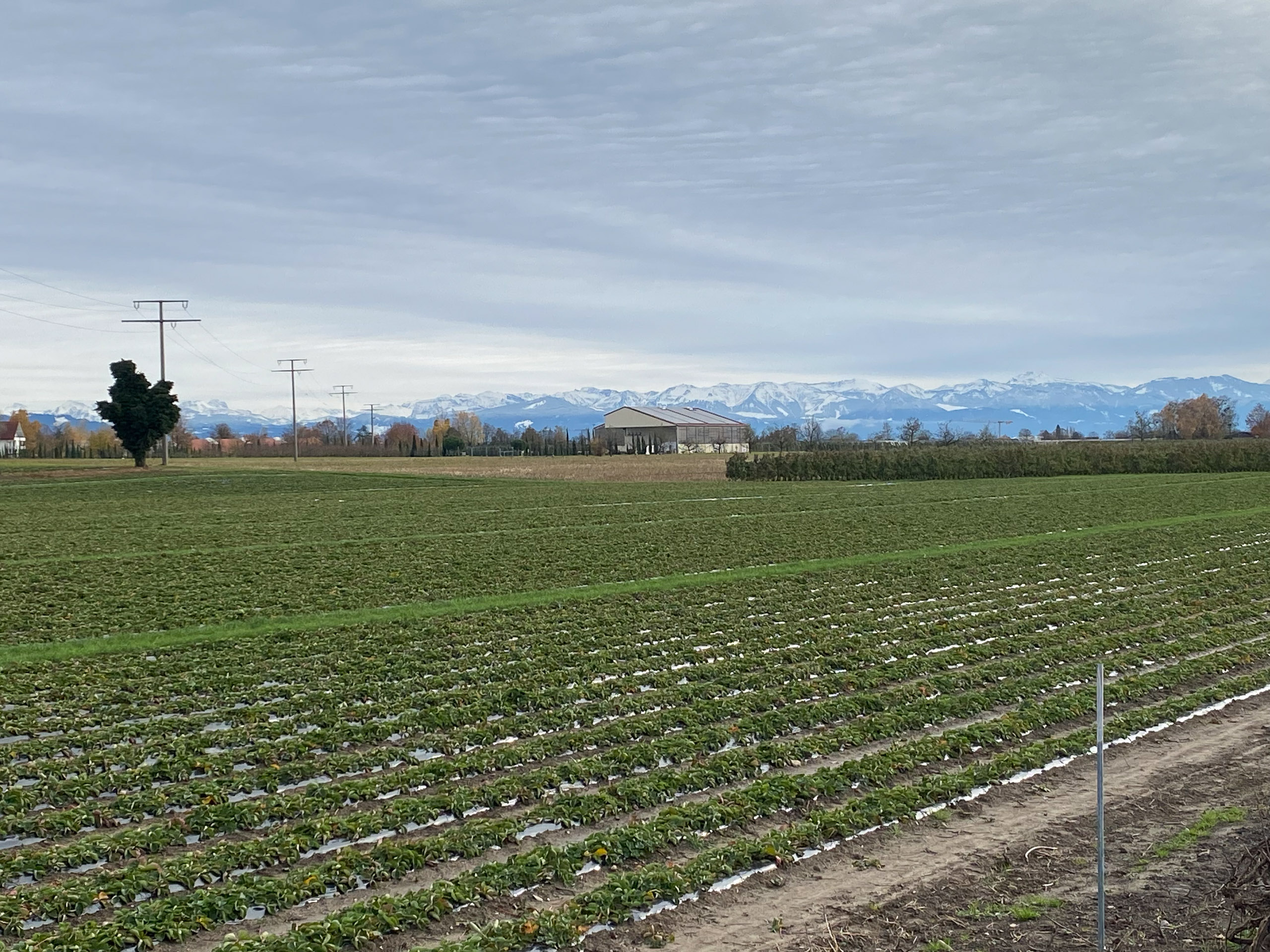 20231118131416 IMG 8970