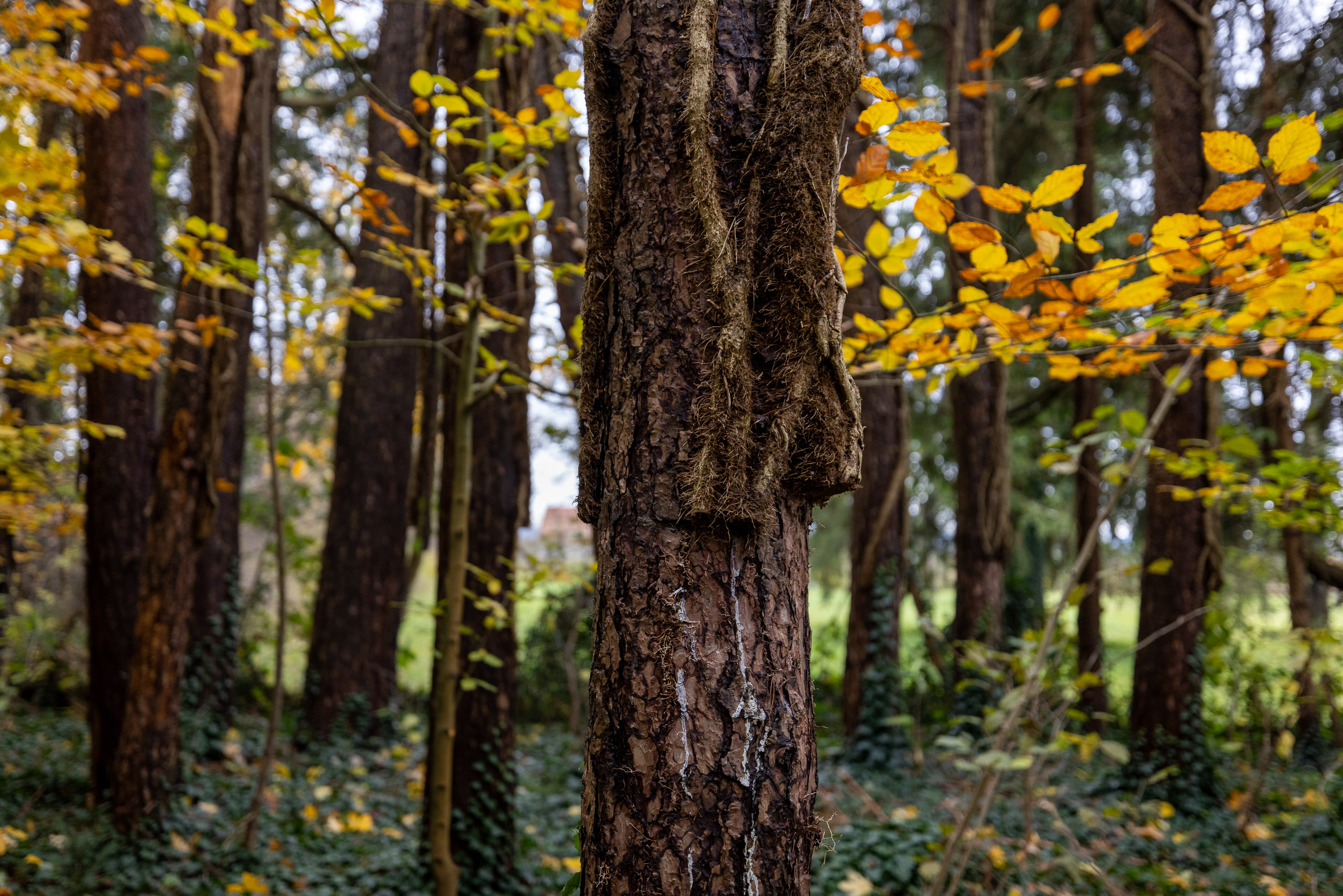 20231118145039 R5D 5505