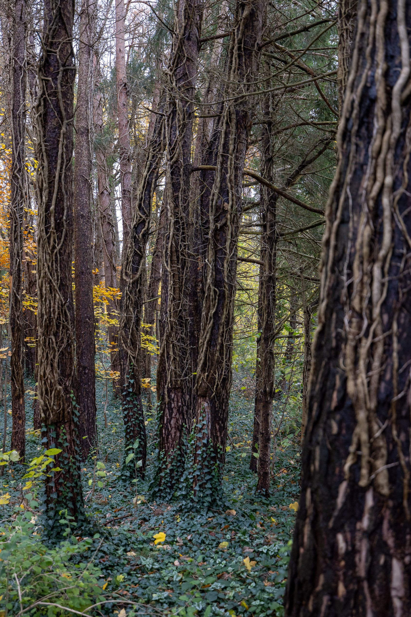 20231118145208 R5D 5514