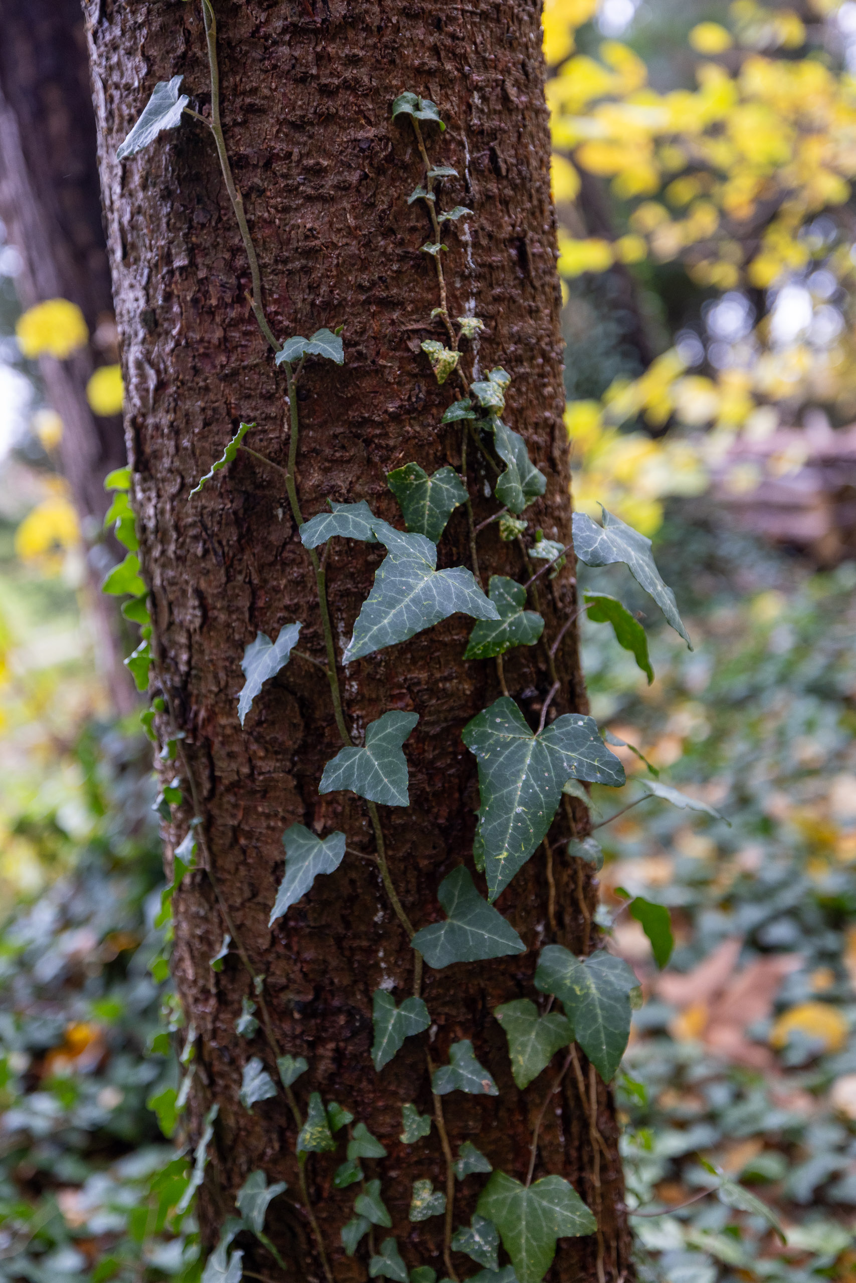 20231118145417 R5D 5519