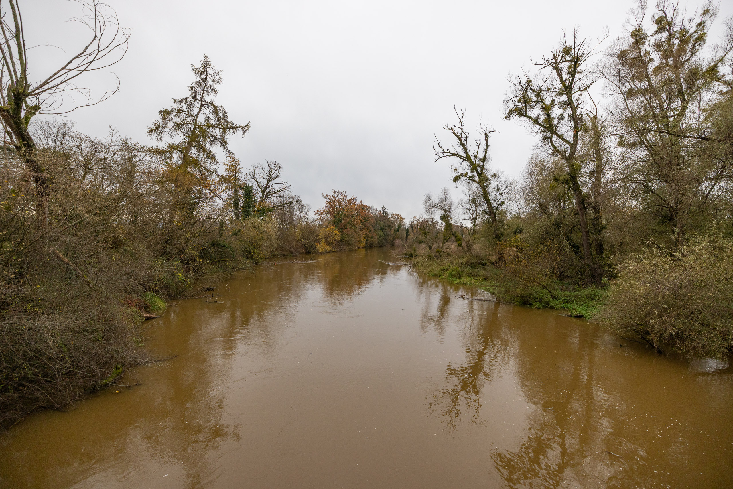 20231118150347 R5D 5523