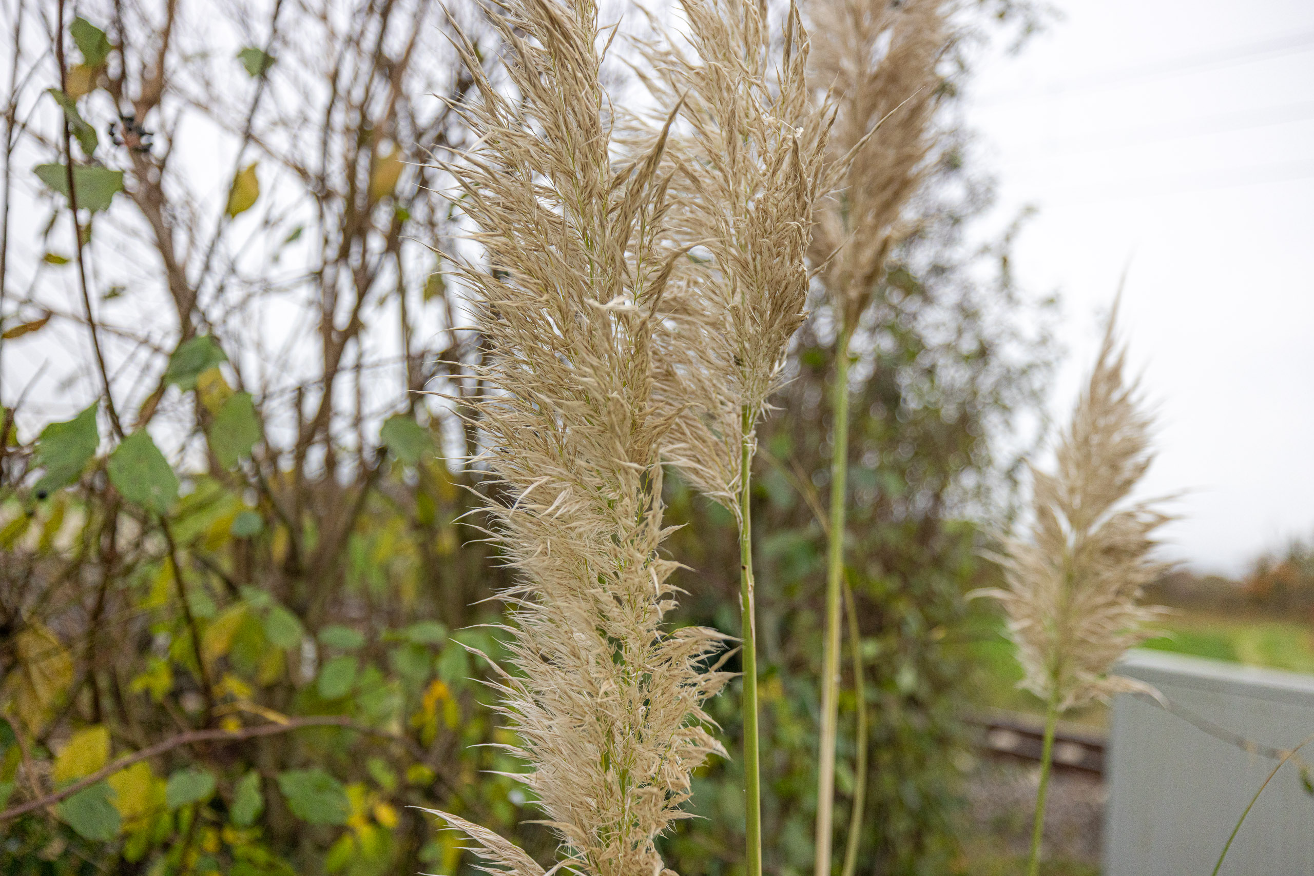 20231118152136 R5D 5552