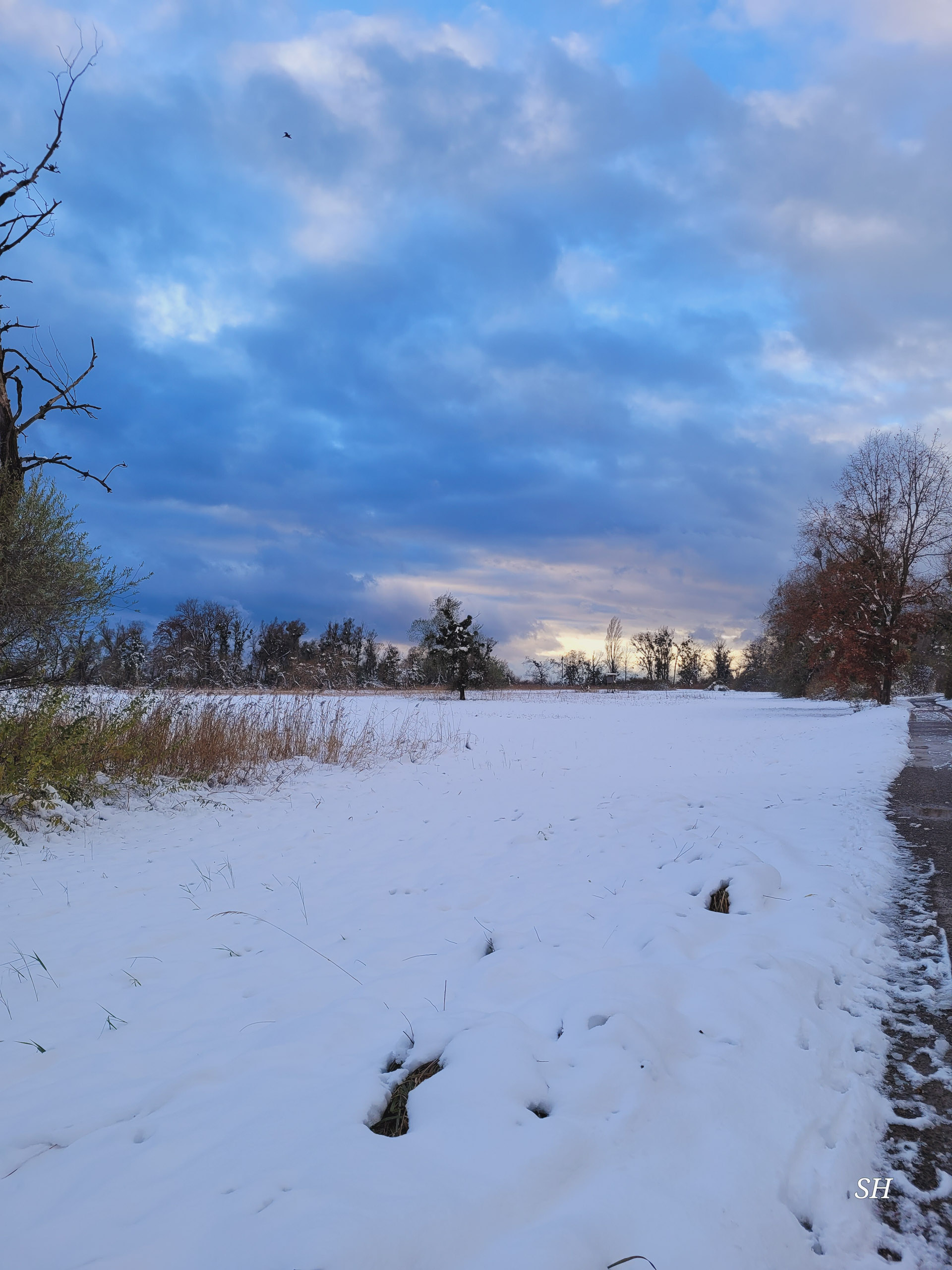 20241122152608 20241122 152608