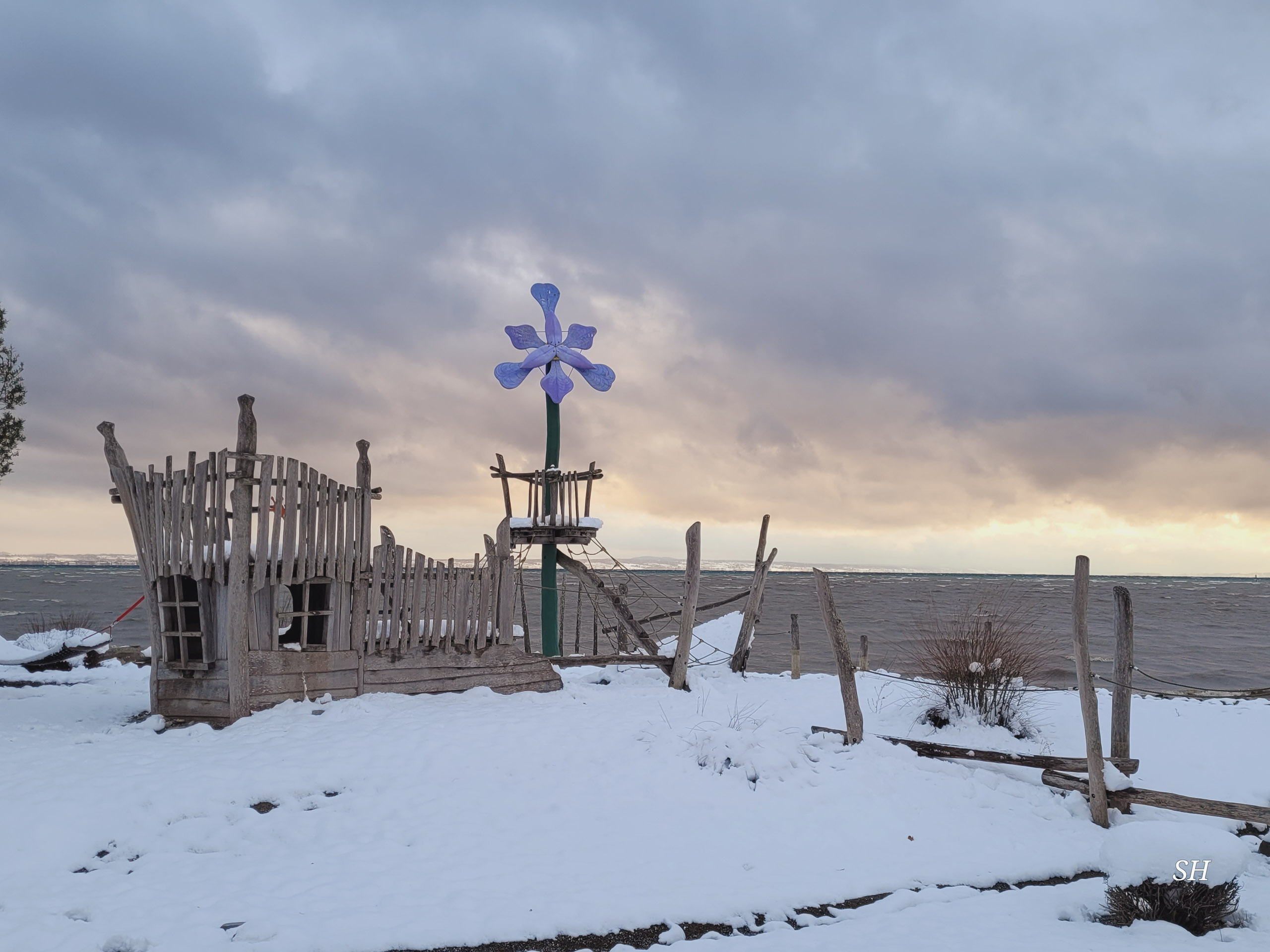 20241122154937 20241122 154937