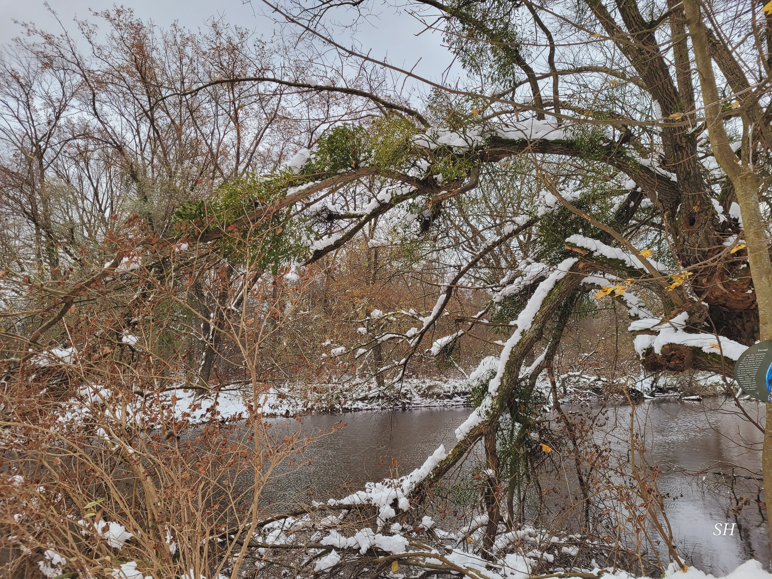 20241122160158 20241122 160158