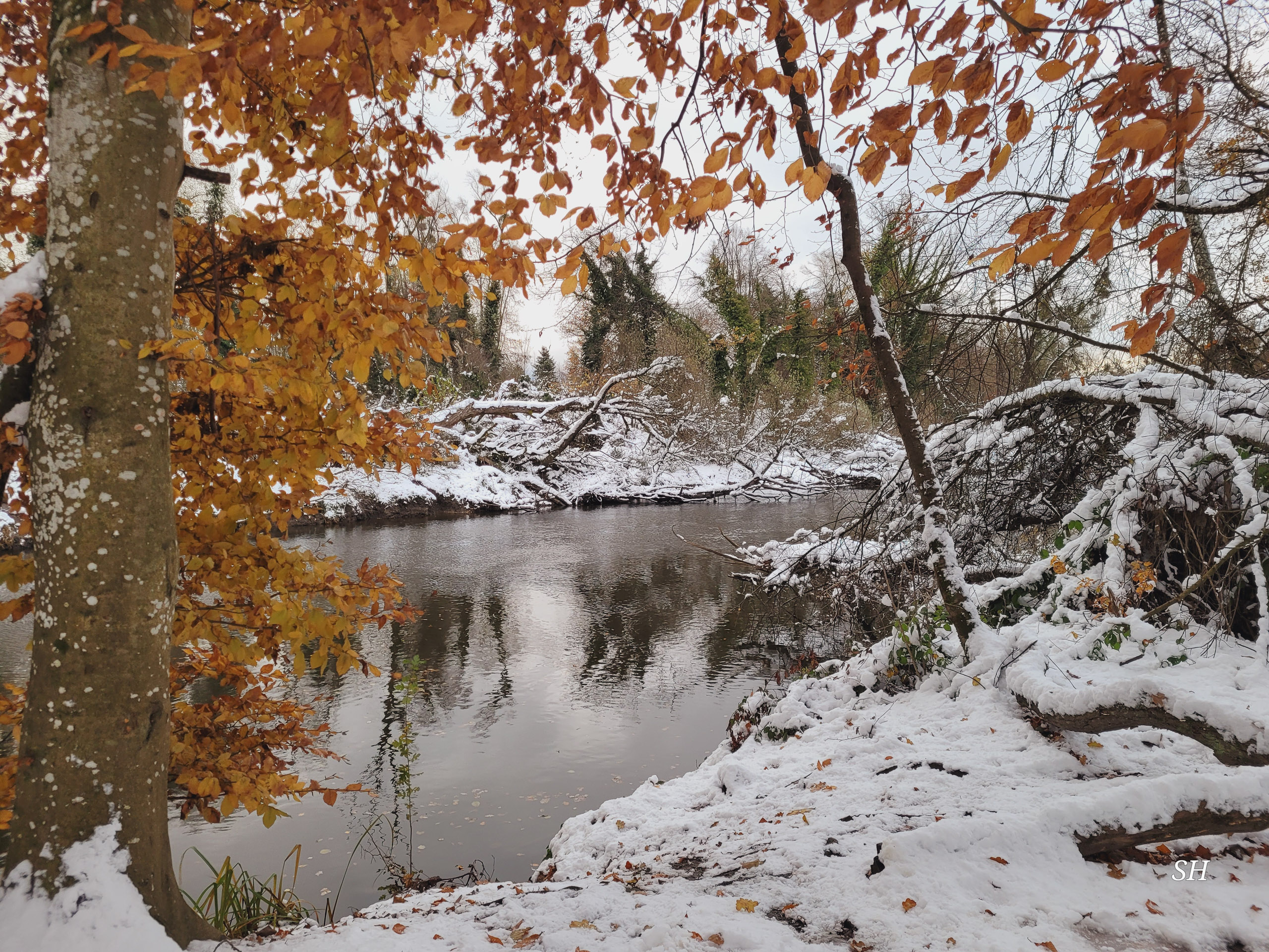 20241122160827 20241122 160826