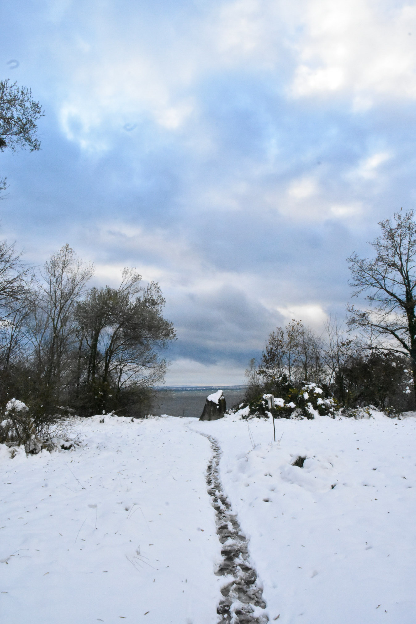 20241122163737 A240454