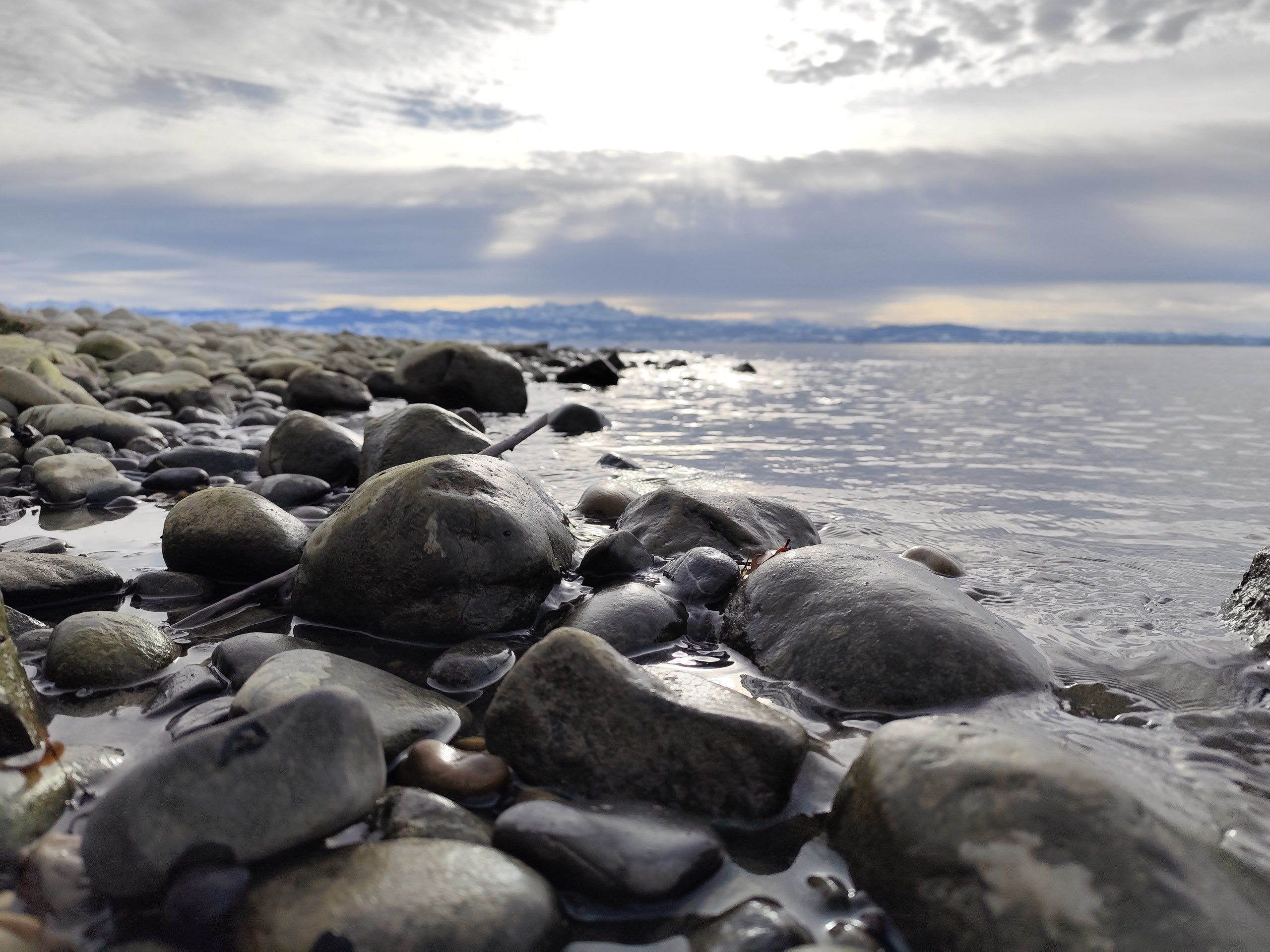 20241123134453 IMG 20241123 134453