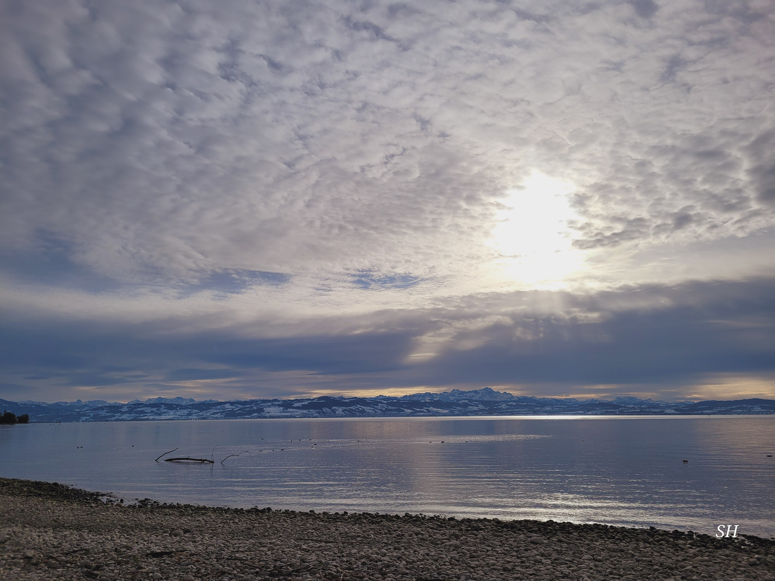 20241123134507 20241123 134507