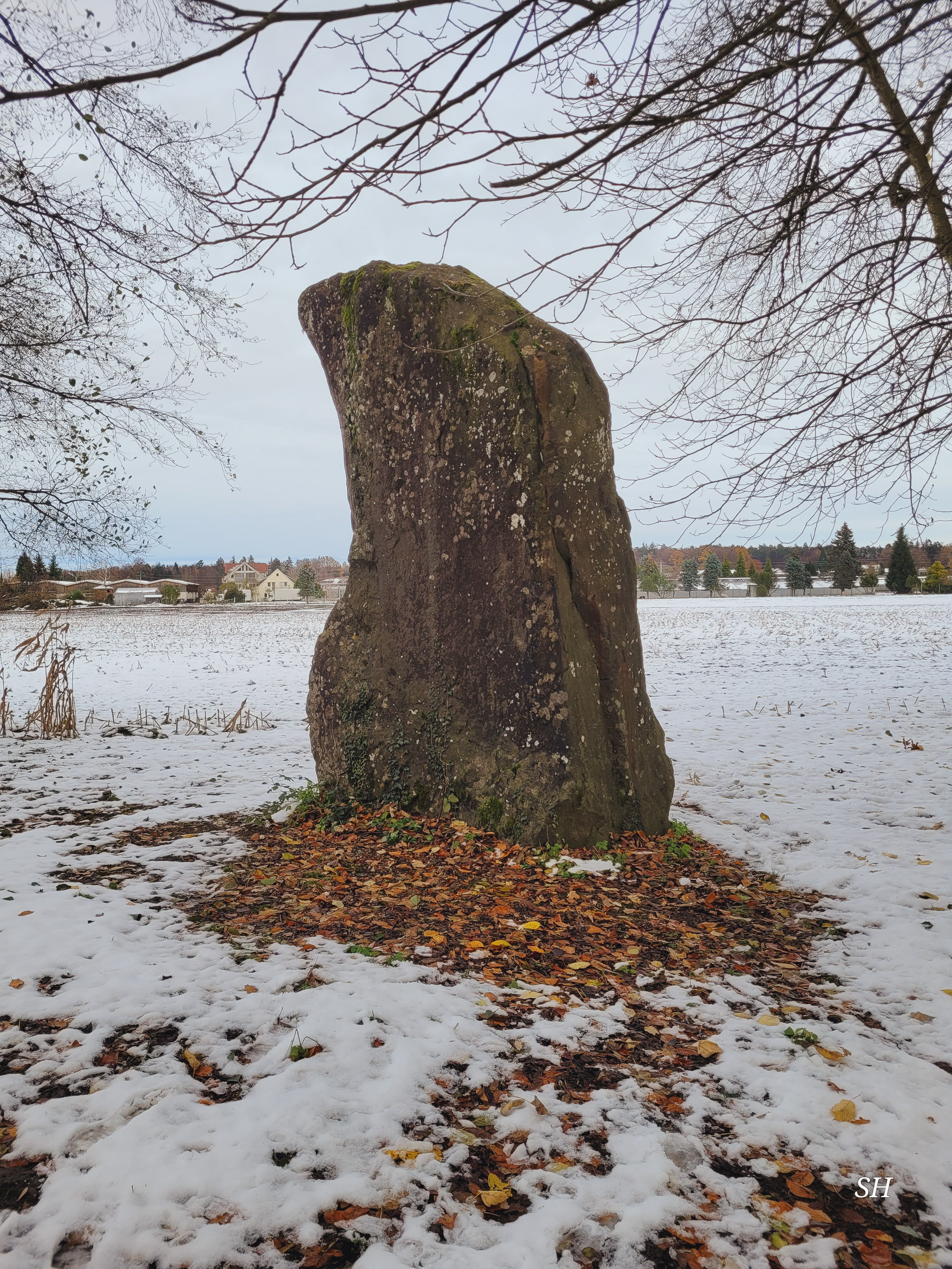 20241123145412 20241123 145412