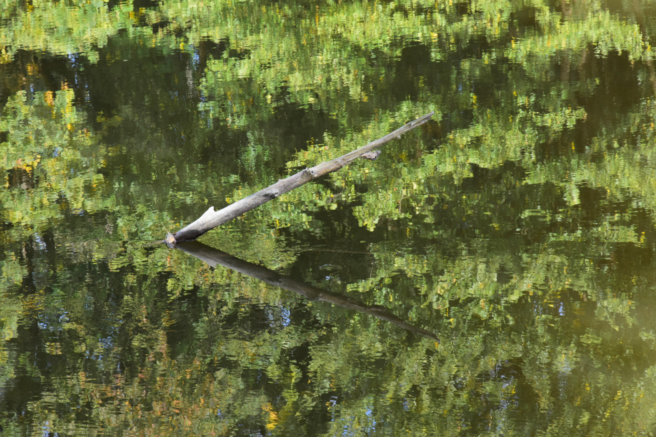 20251003145907 AnOA250563