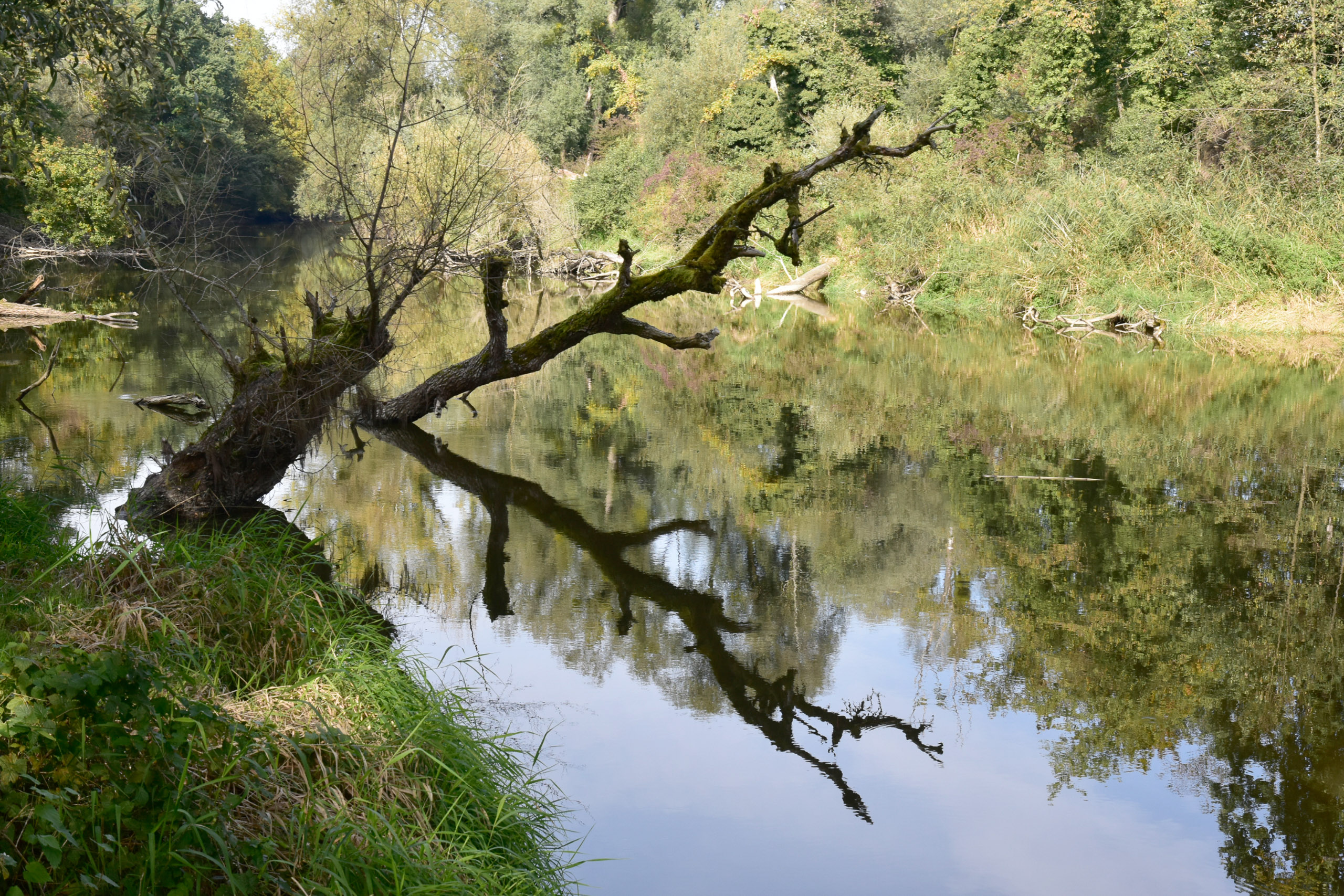 20251003150234 AnOA250575