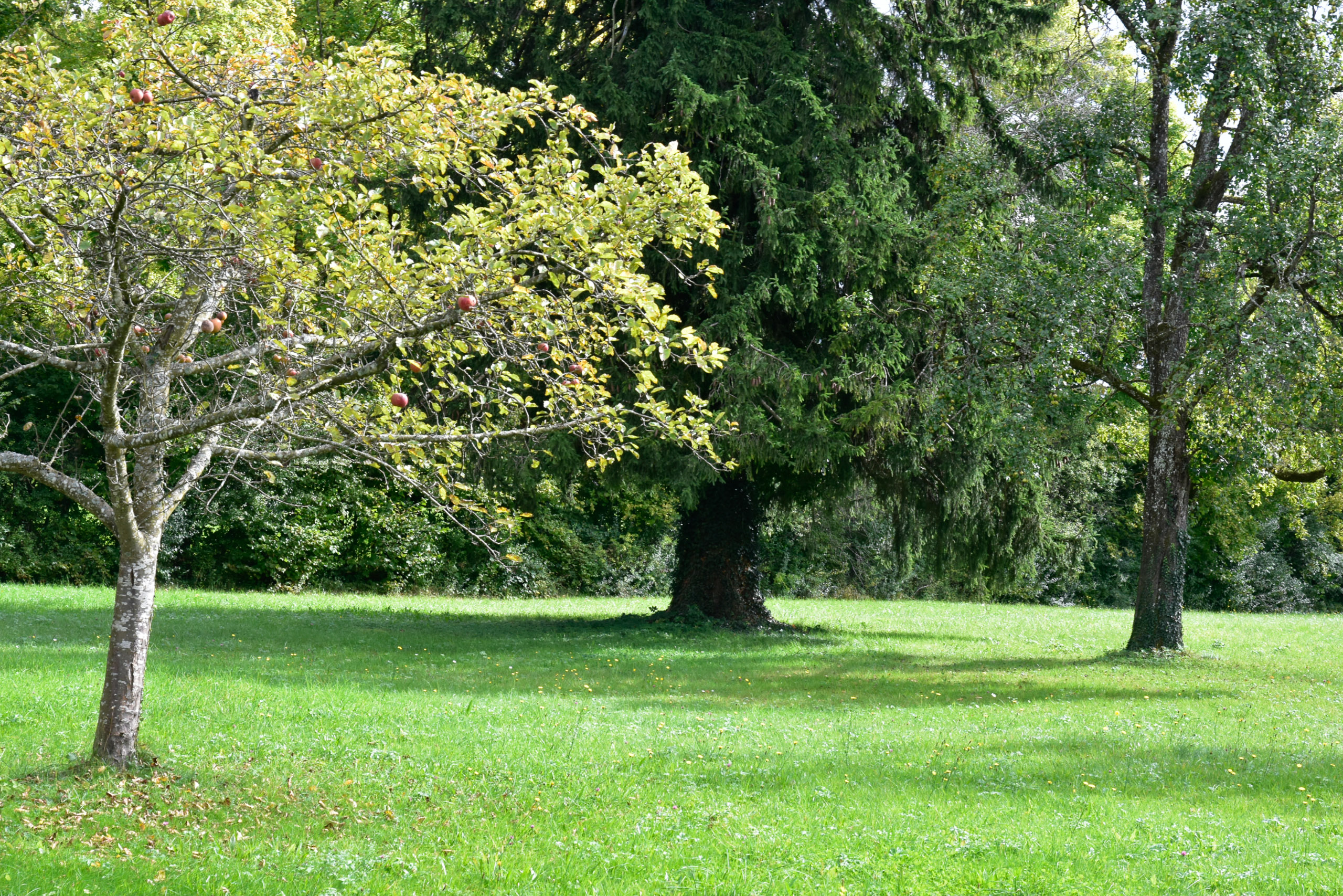 20251004134731 AnOA250636