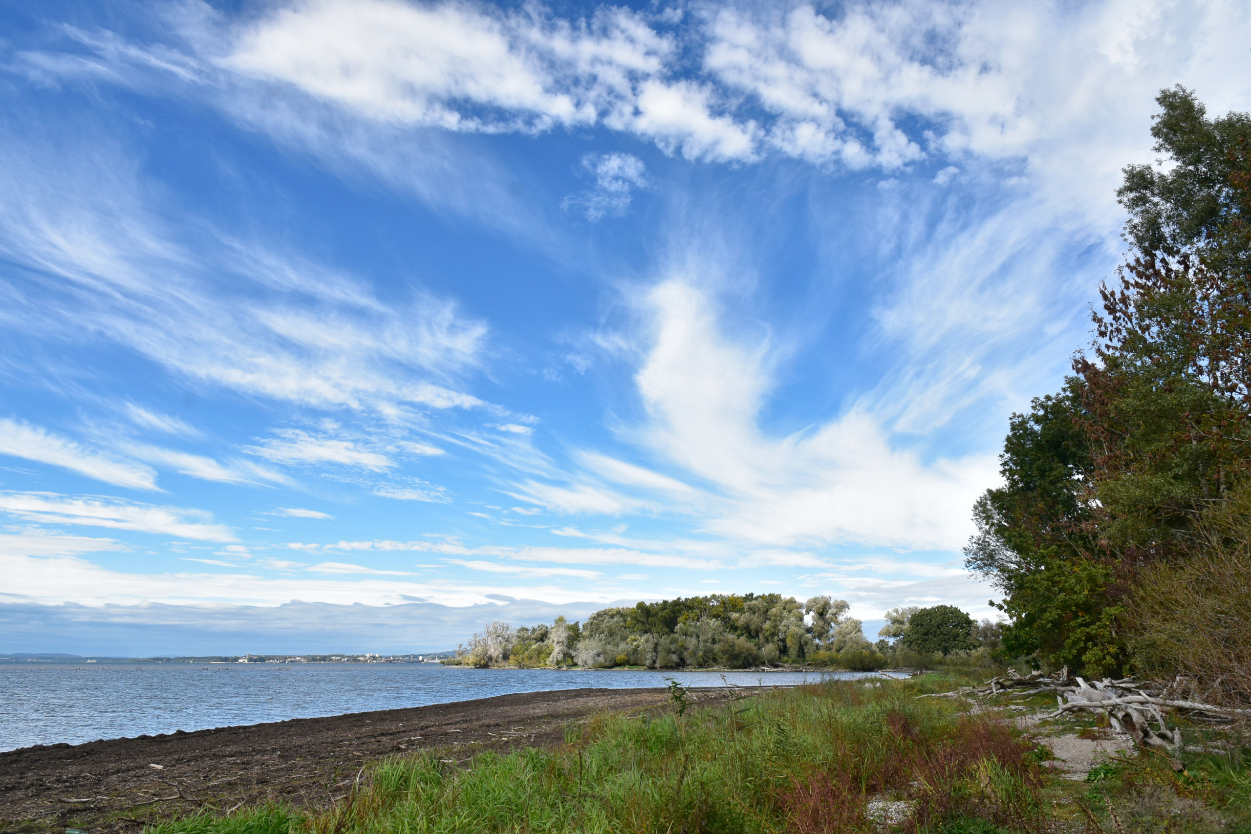 20251004141121 AnOA250672