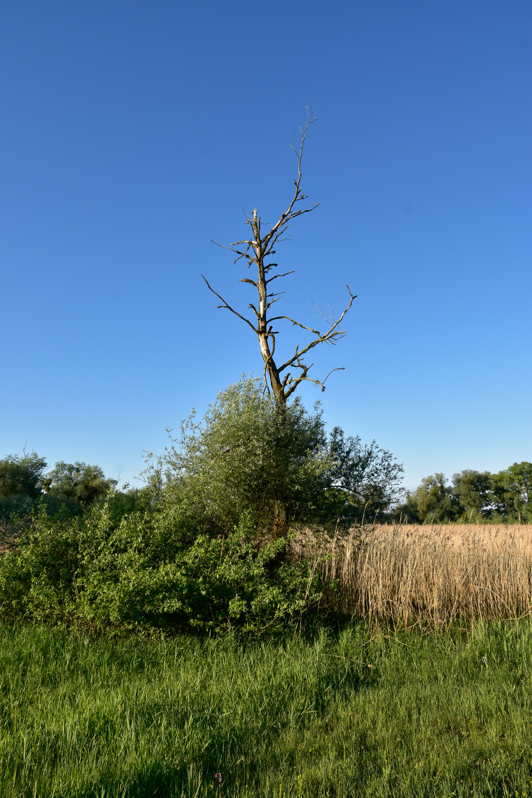 20250511073101 A240479