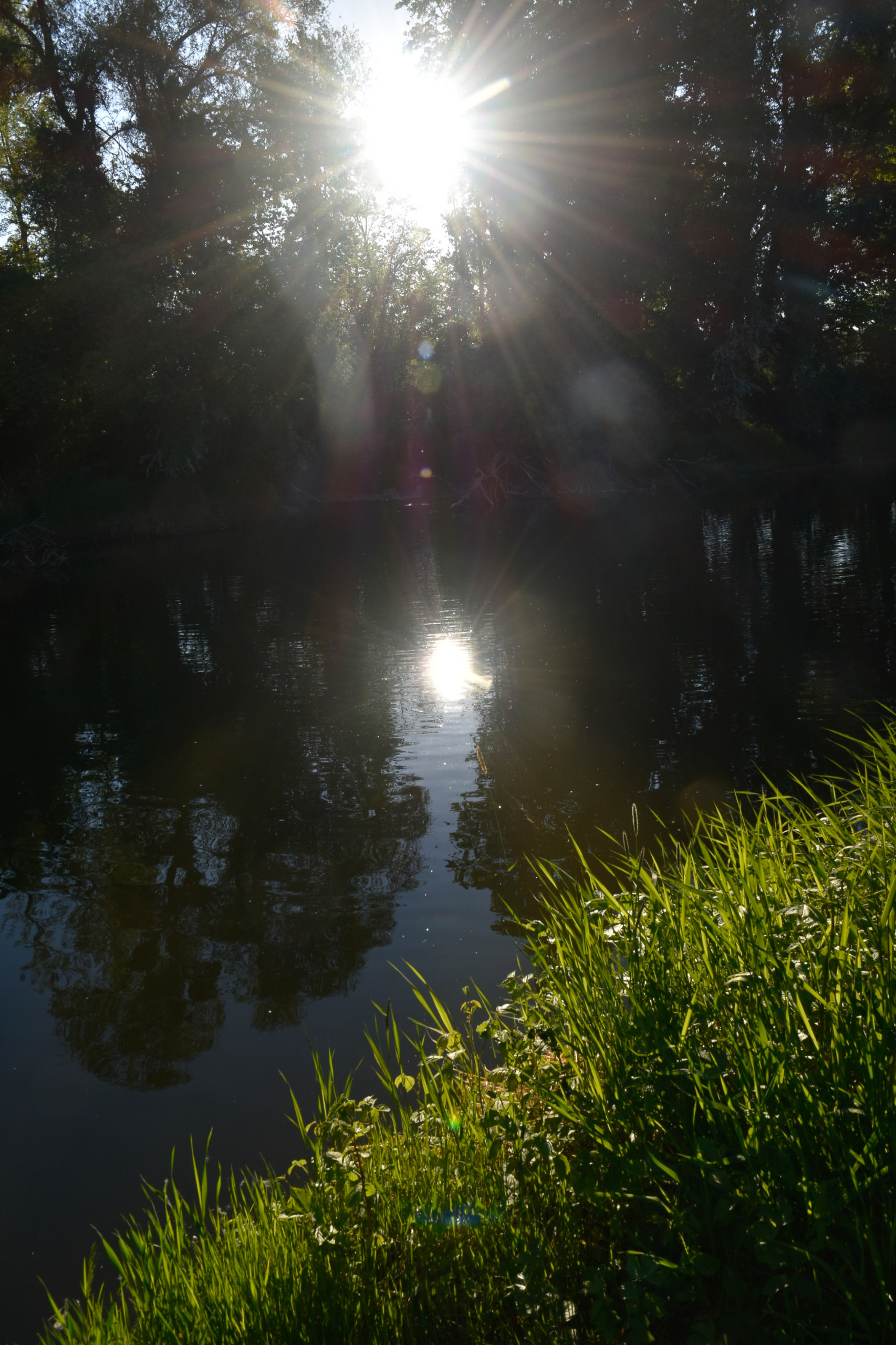 20250511073749 A240489